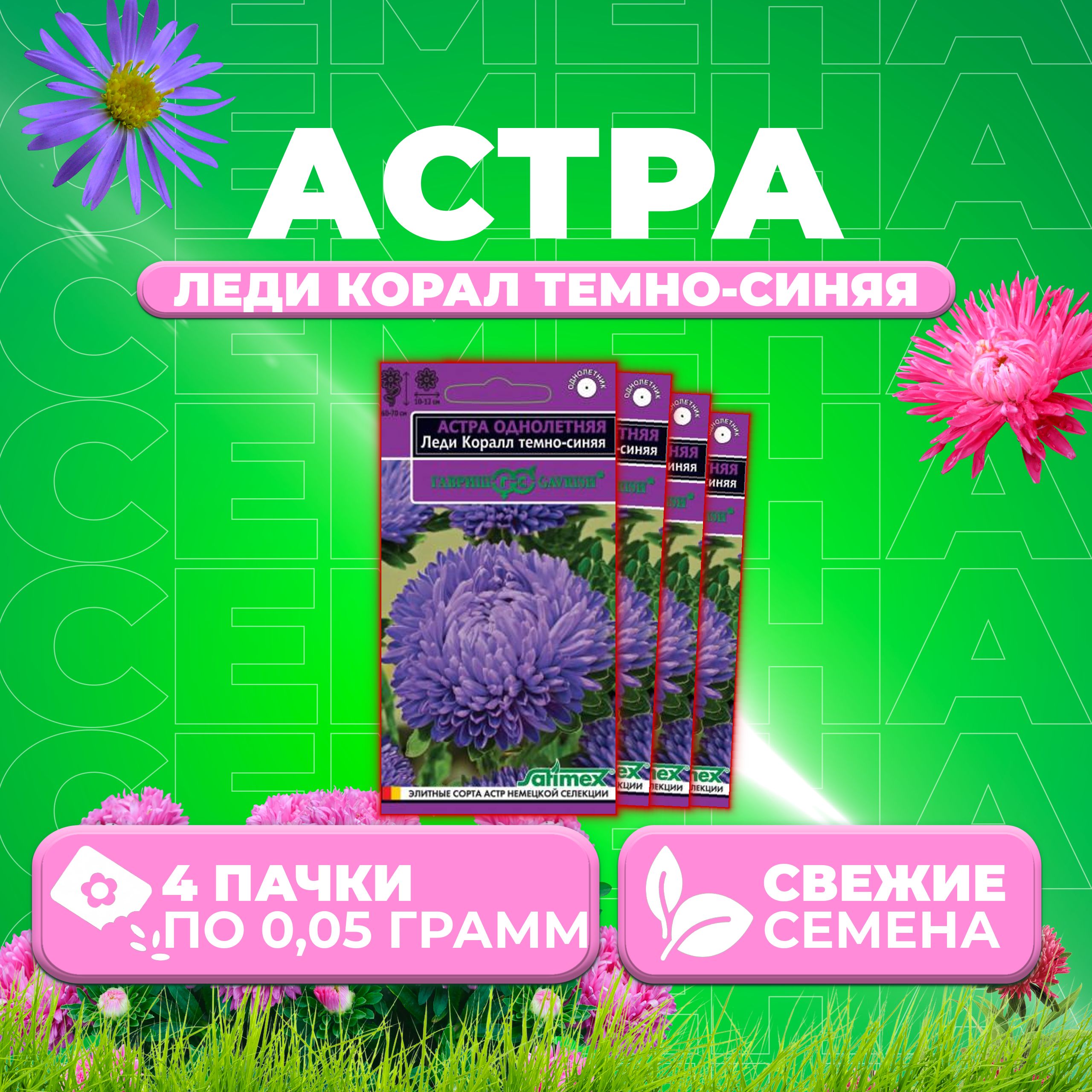 

Семена Астра Леди Корал темно-синяя, розовидная, 0,05г, Гавриш, Satimex (4 уп)