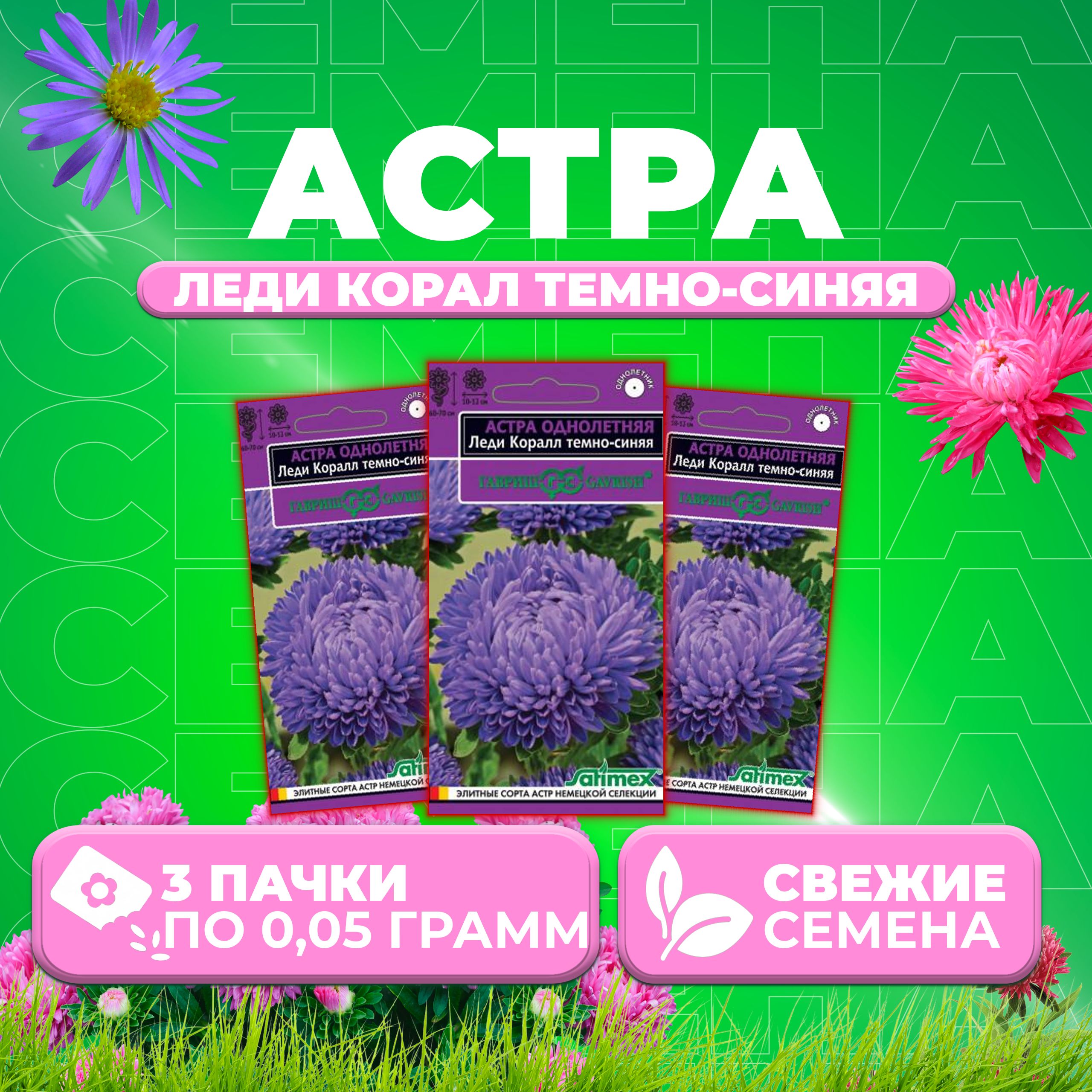 

Семена Астра Леди Корал темно-синяя, розовидная, 0,05г, Гавриш, Satimex (3 уп)