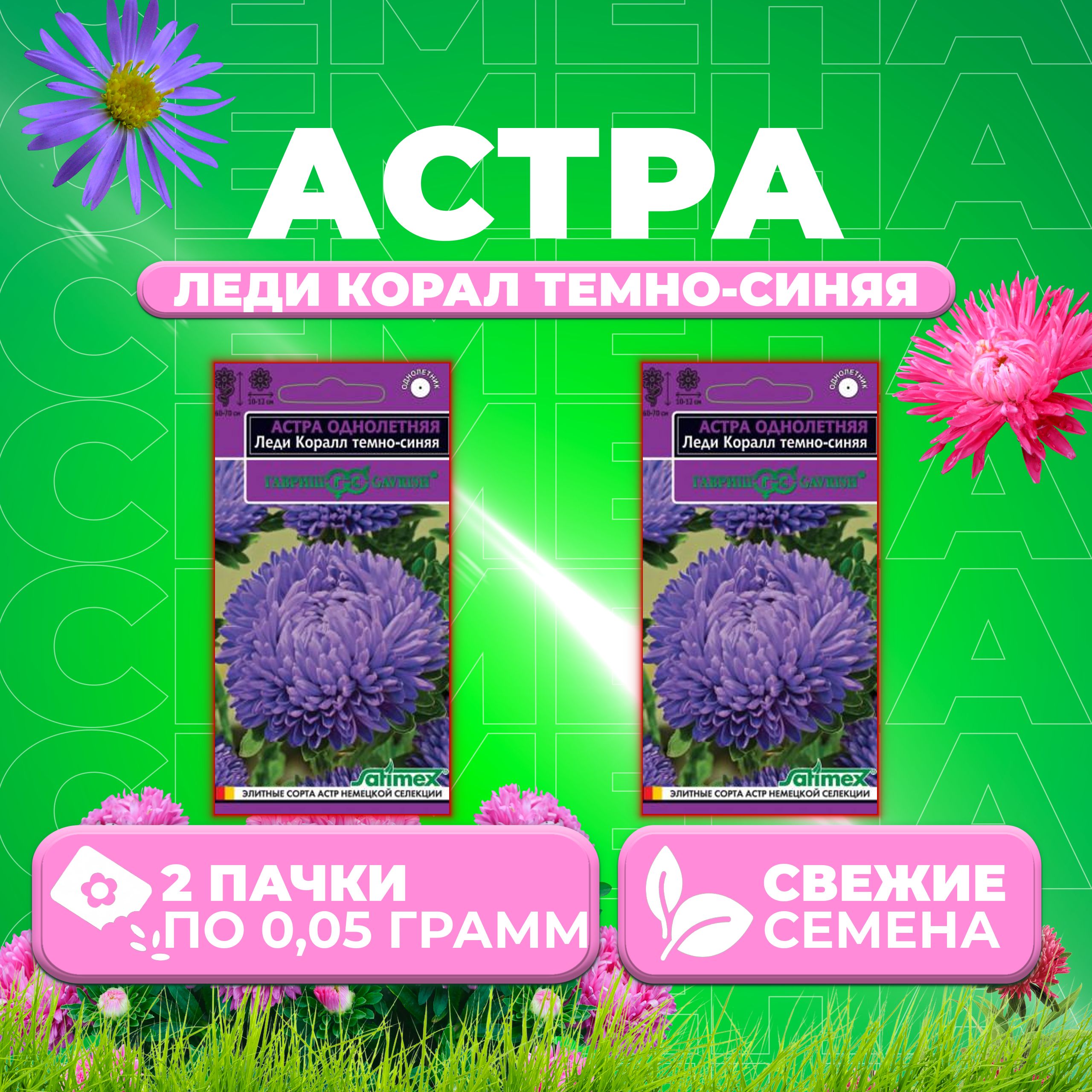 

Семена Астра Леди Корал темно-синяя, розовидная, 0,05г, Гавриш, Satimex (2 уп)