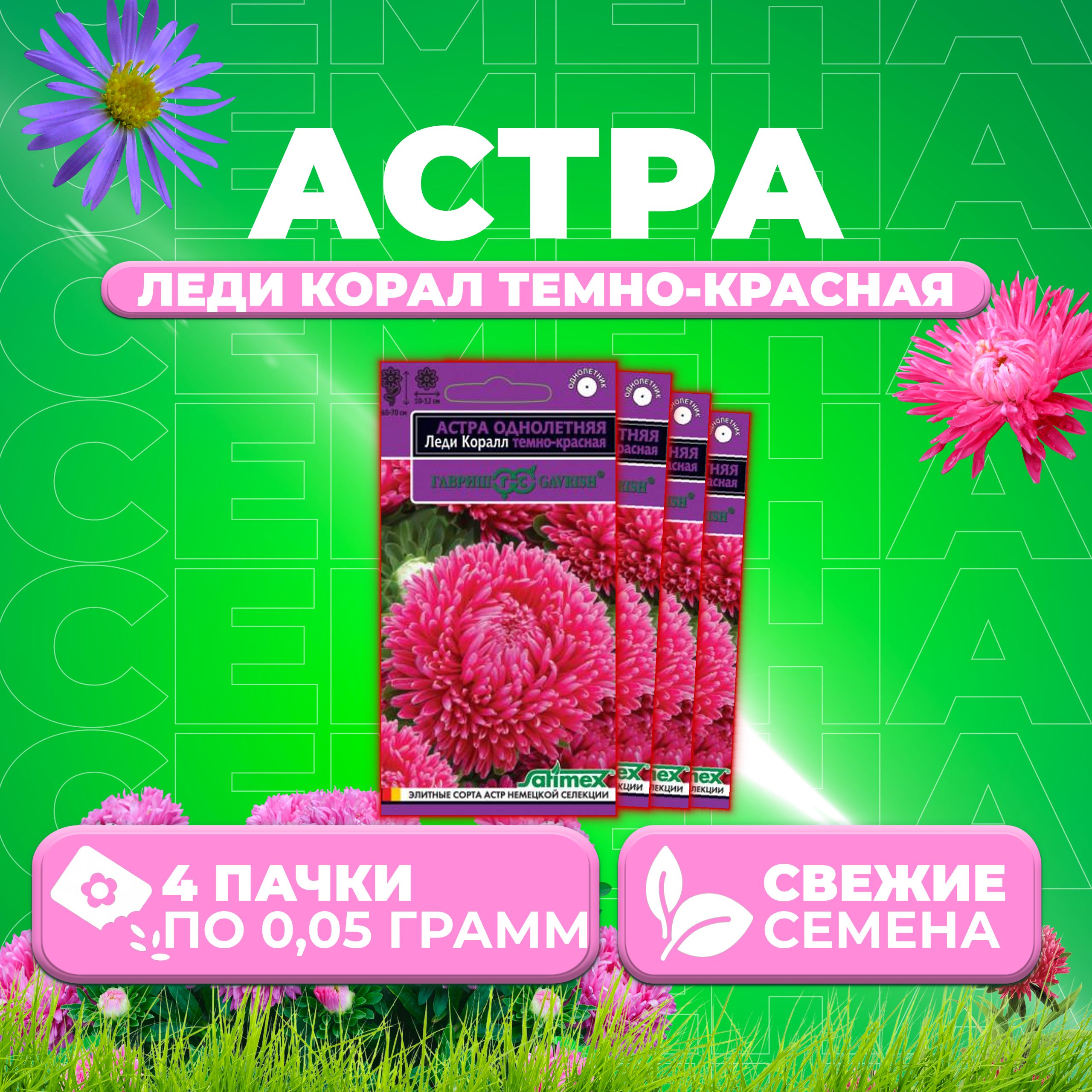 

Семена Астра Леди Корал темно-красная, розовидная, 0,05г, Гавриш, Satimex (4 уп)