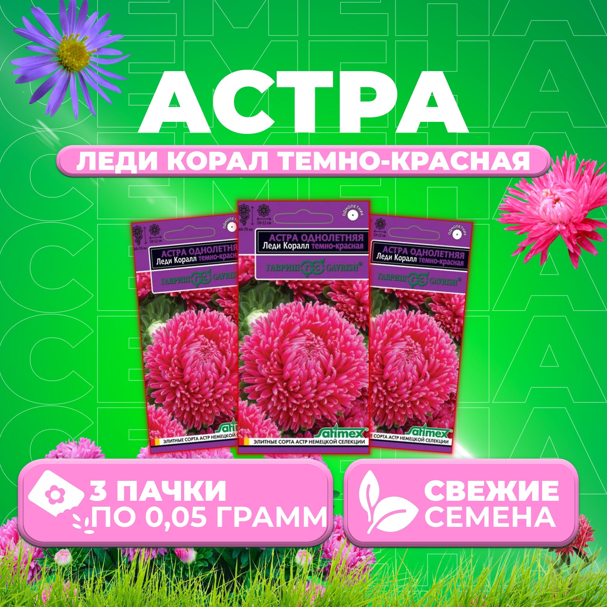 

Семена Астра Леди Корал темно-красная, розовидная, 0,05г, Гавриш, Satimex (3 уп)