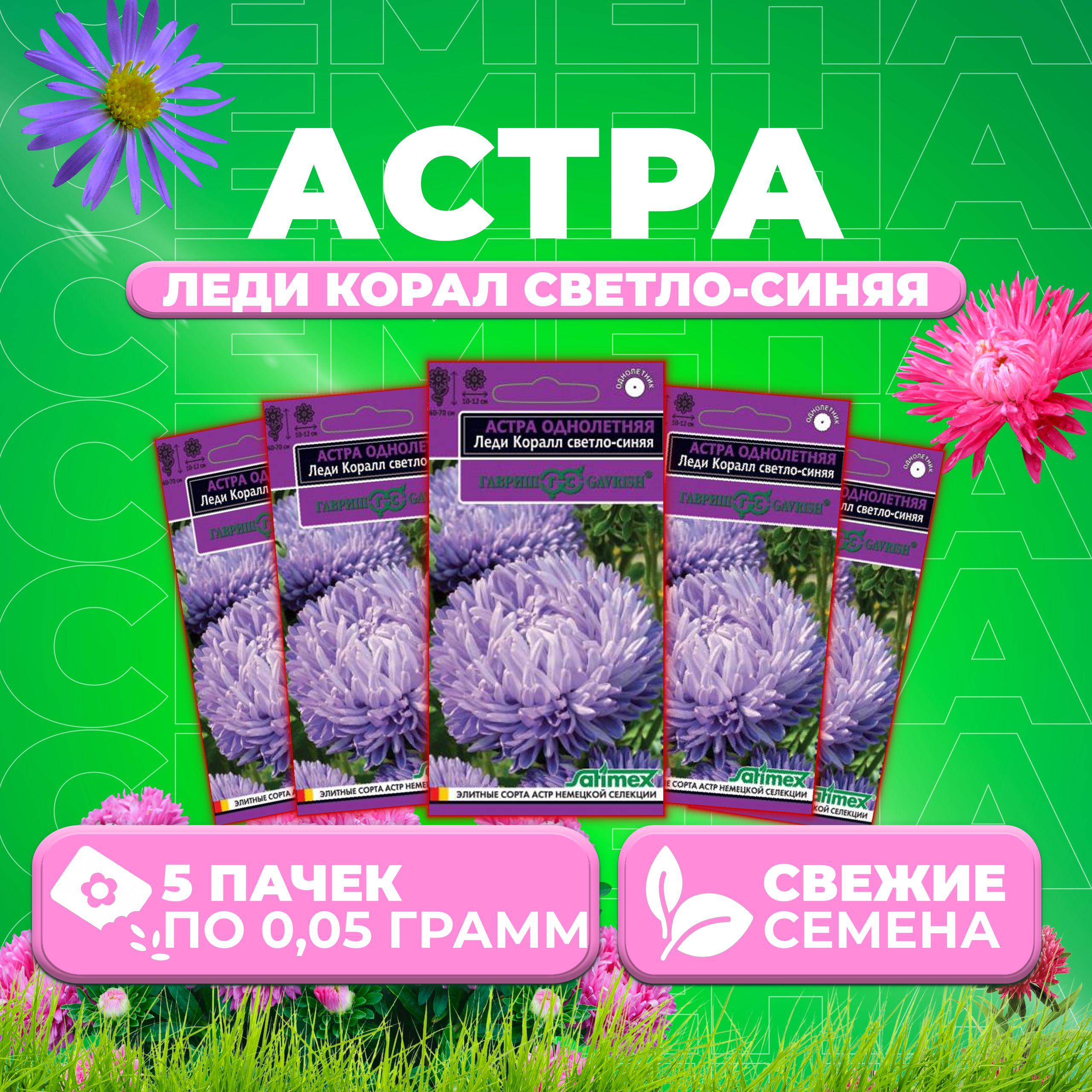 

Семена Астра Леди Корал светло-синяя, розовидная, 0,05г, Гавриш, Satimex (5 уп)