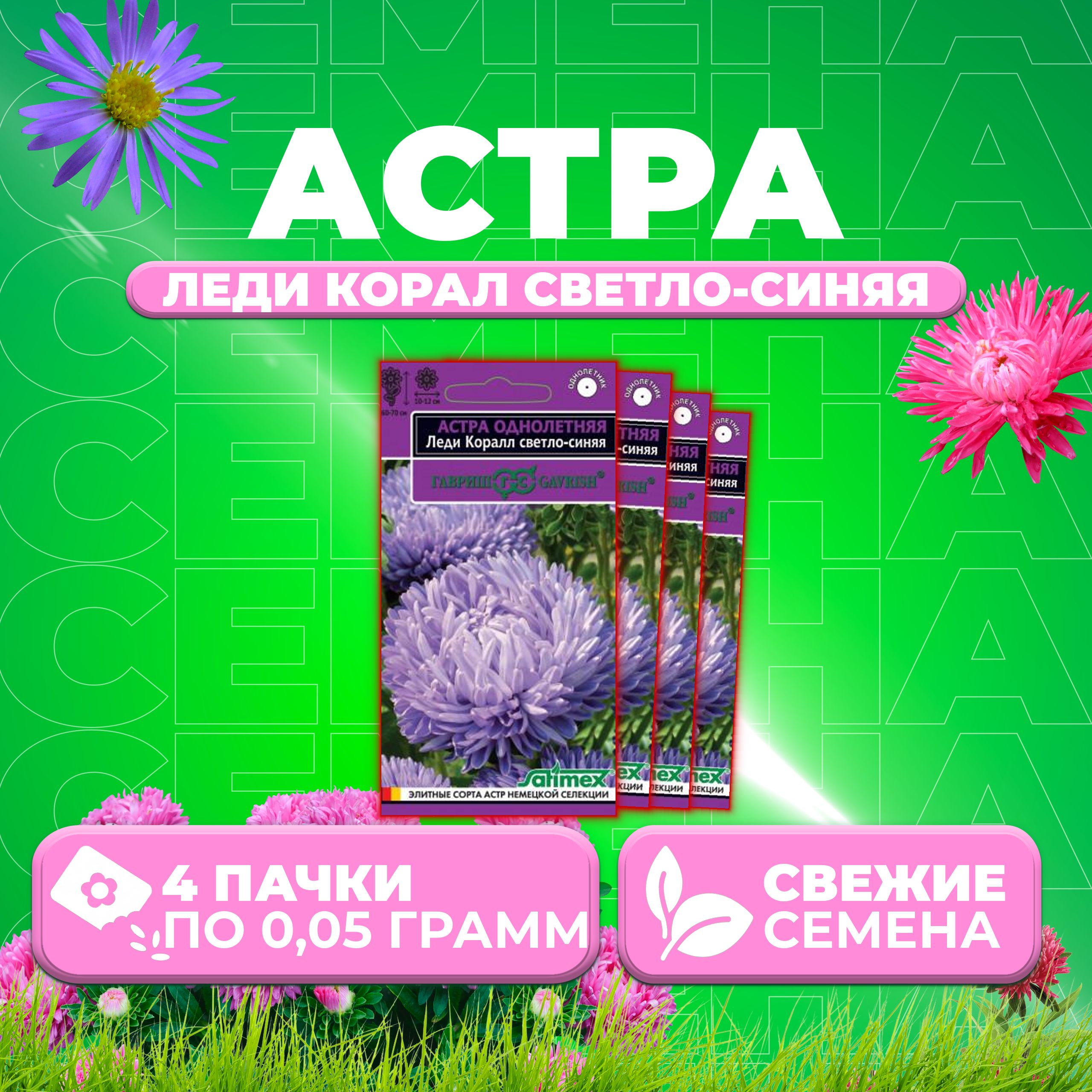 

Семена Астра Леди Корал светло-синяя, розовидная, 0,05г, Гавриш, Satimex (4 уп)