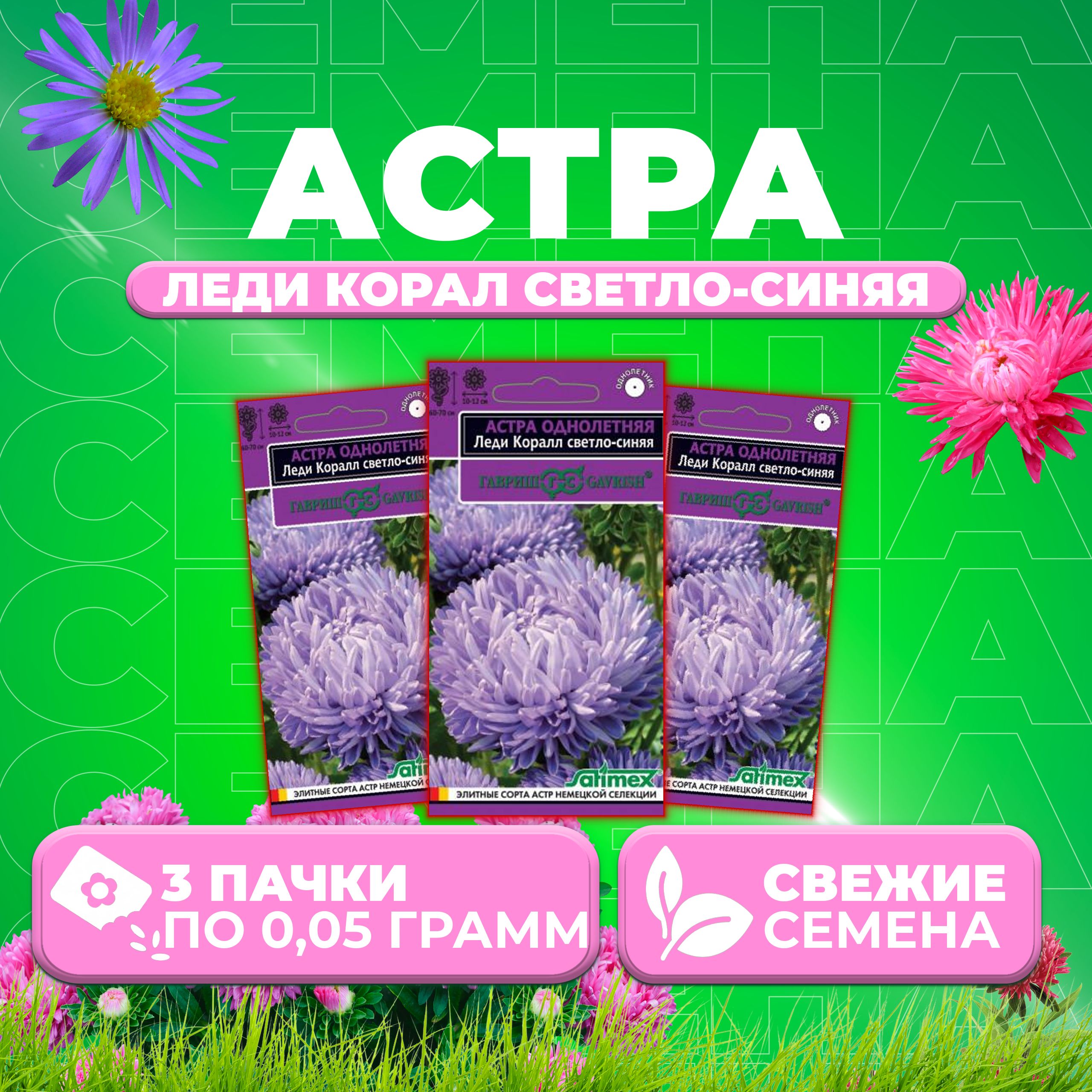 

Семена Астра Леди Корал светло-синяя, розовидная, 0,05г, Гавриш, Satimex (3 уп)