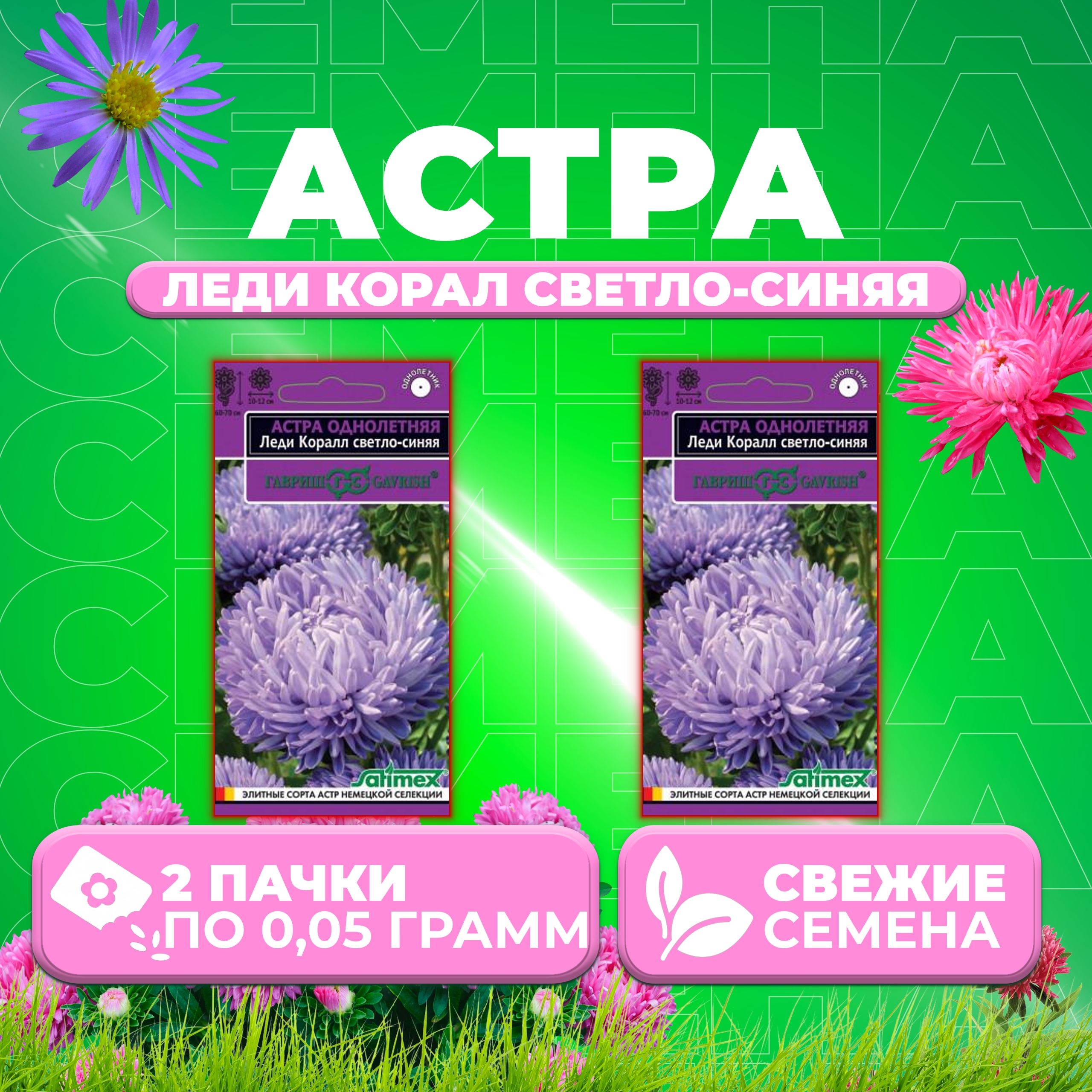 

Семена Астра Леди Корал светло-синяя, розовидная, 0,05г, Гавриш, Satimex (2 уп)