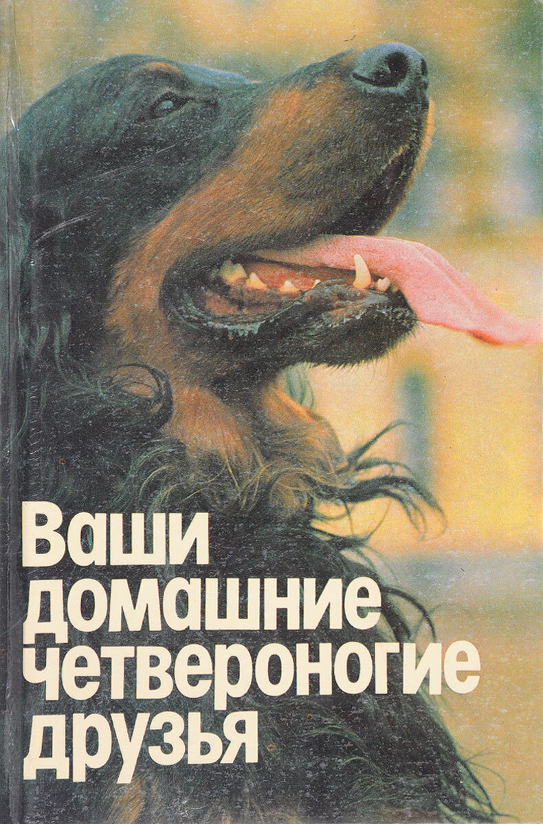 

Ваши домашние четвероногие друзья