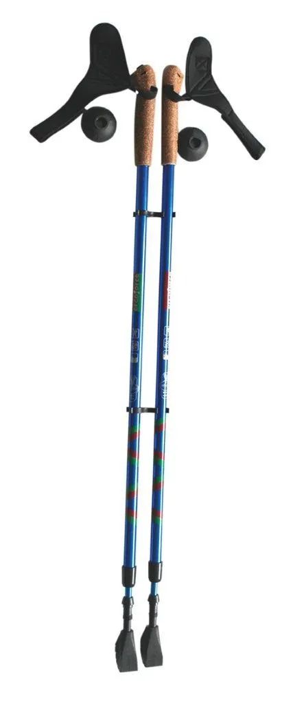 Палки для скандинавской ходьбы Ergoforce E 0673, синий, 110-140 см