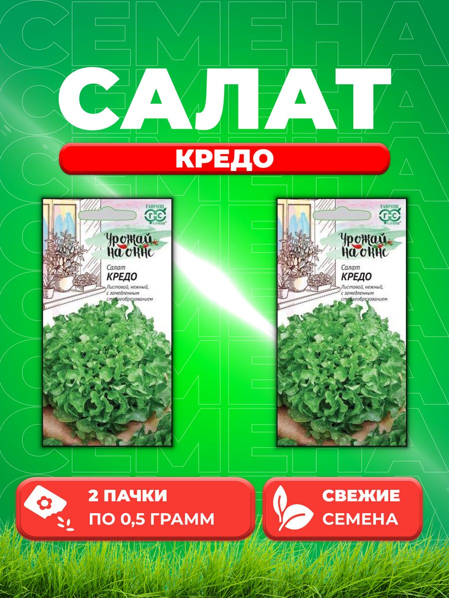 

Семена Салат листовой Кредо, 0,5г, Гавриш, Урожай на окне (2уп)