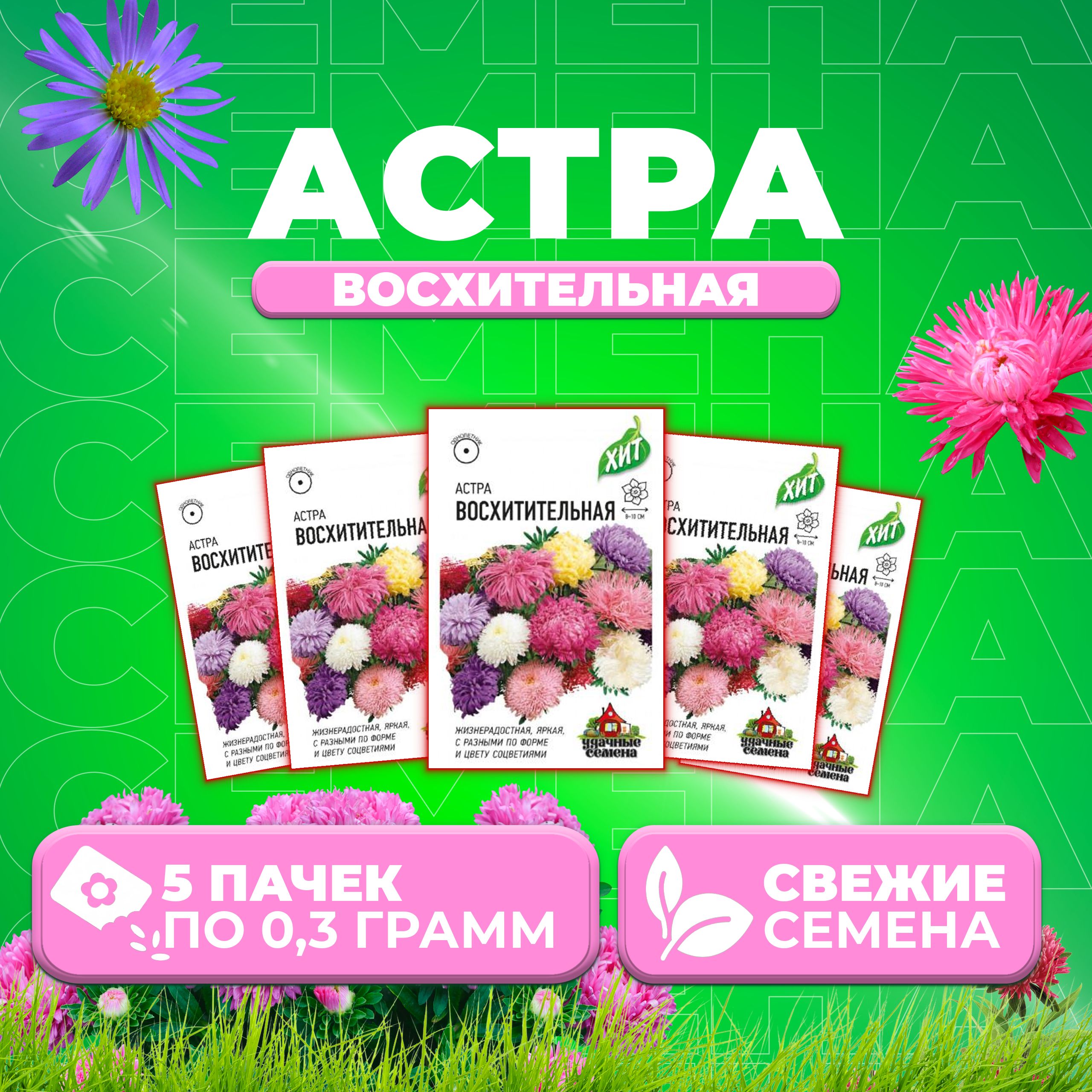 

Семена Астра Восхитительная, смесь, 0,3г, Удачные семена, серия ХИТ (5 уп)
