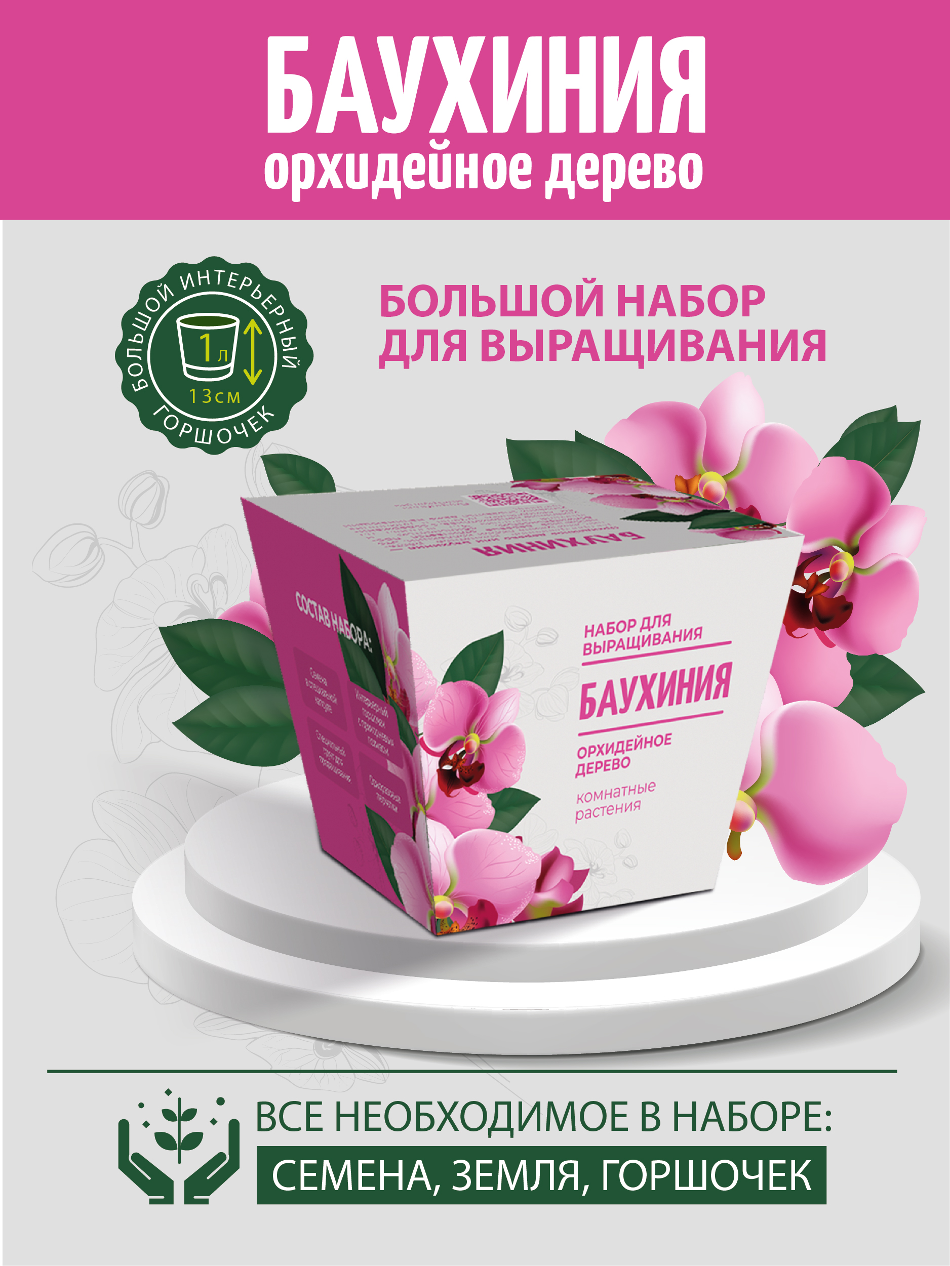 Набор для выращивания комнатных растений ЭкоКлуб Баухиния