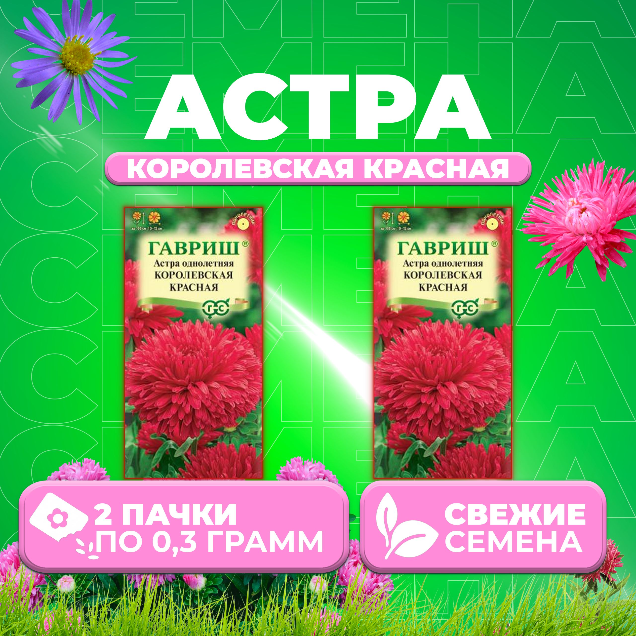 

Семена Астра Королевская красная, пионовидная, 0,3г, Гавриш, Цветочная коллекция (2 уп)
