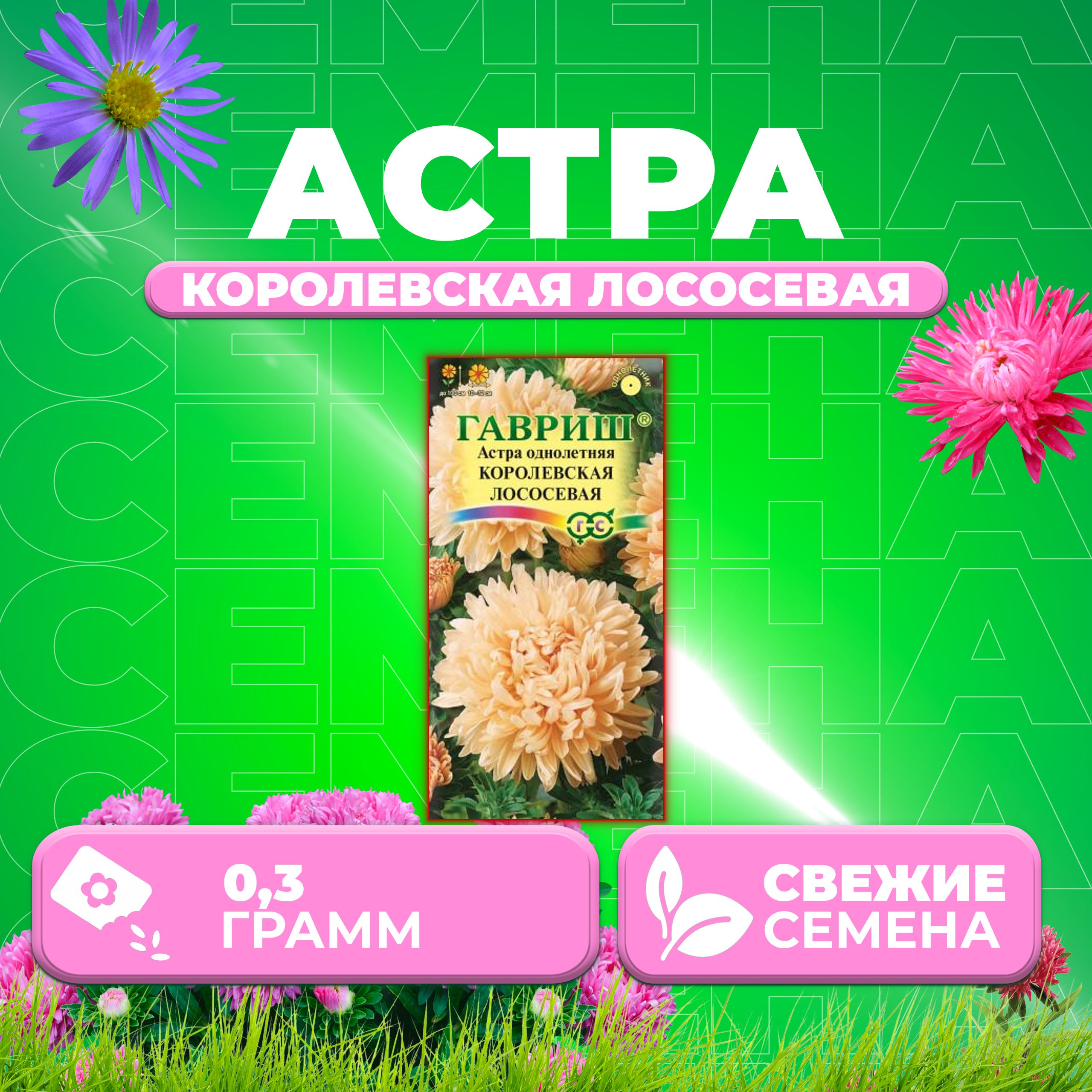 

Семена Астра Королевская лососевая, пионовидная, 0,3г, Гавриш, Цветочная коллекция (1 уп)
