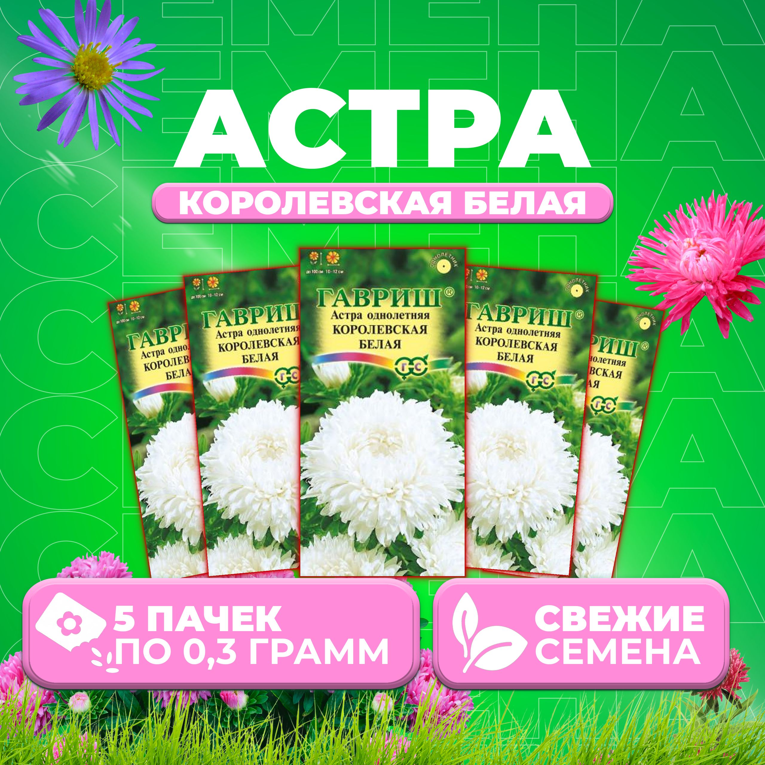 

Семена Астра Королевская белая, пионовидная, 0,3г, Гавриш, Цветочная коллекция (5 уп)