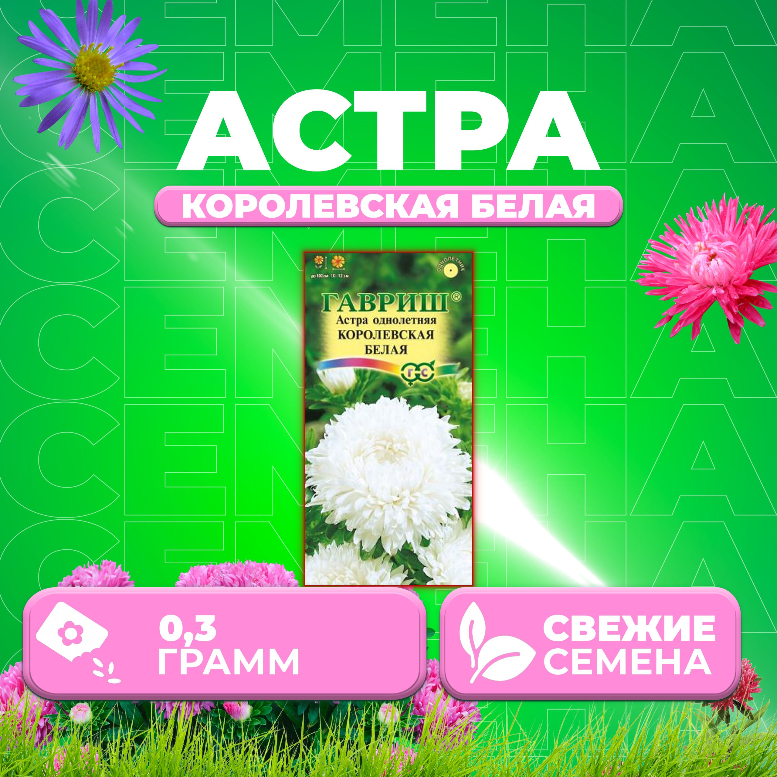 

Семена Астра Королевская белая, пионовидная, 0,3г, Гавриш, Цветочная коллекция (1 уп)