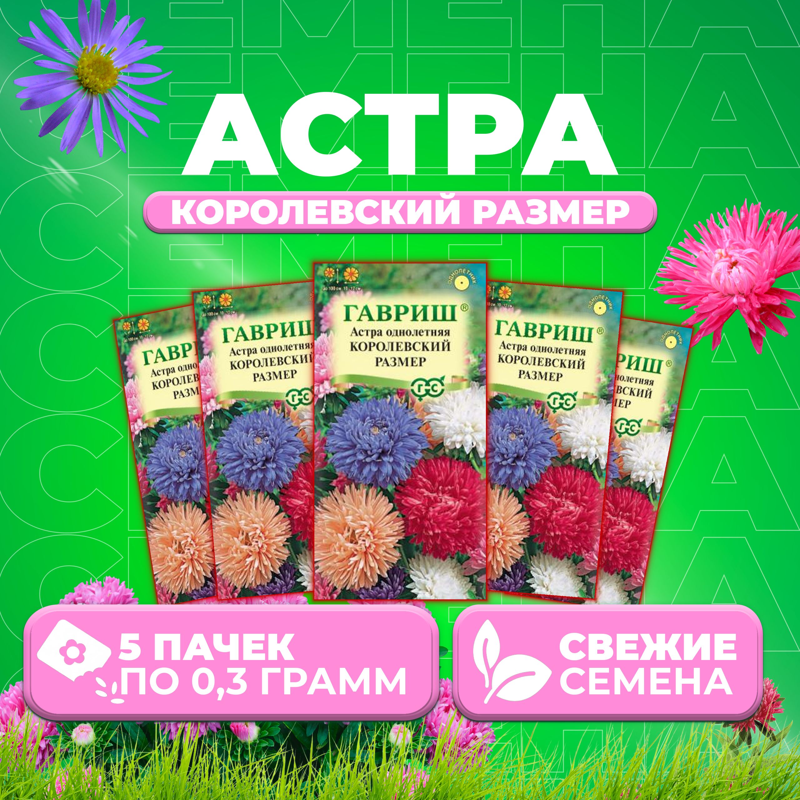 

Семена Астра Королевский размер, смесь, 0,3г, Гавриш, Цветочная коллекция (5 уп)