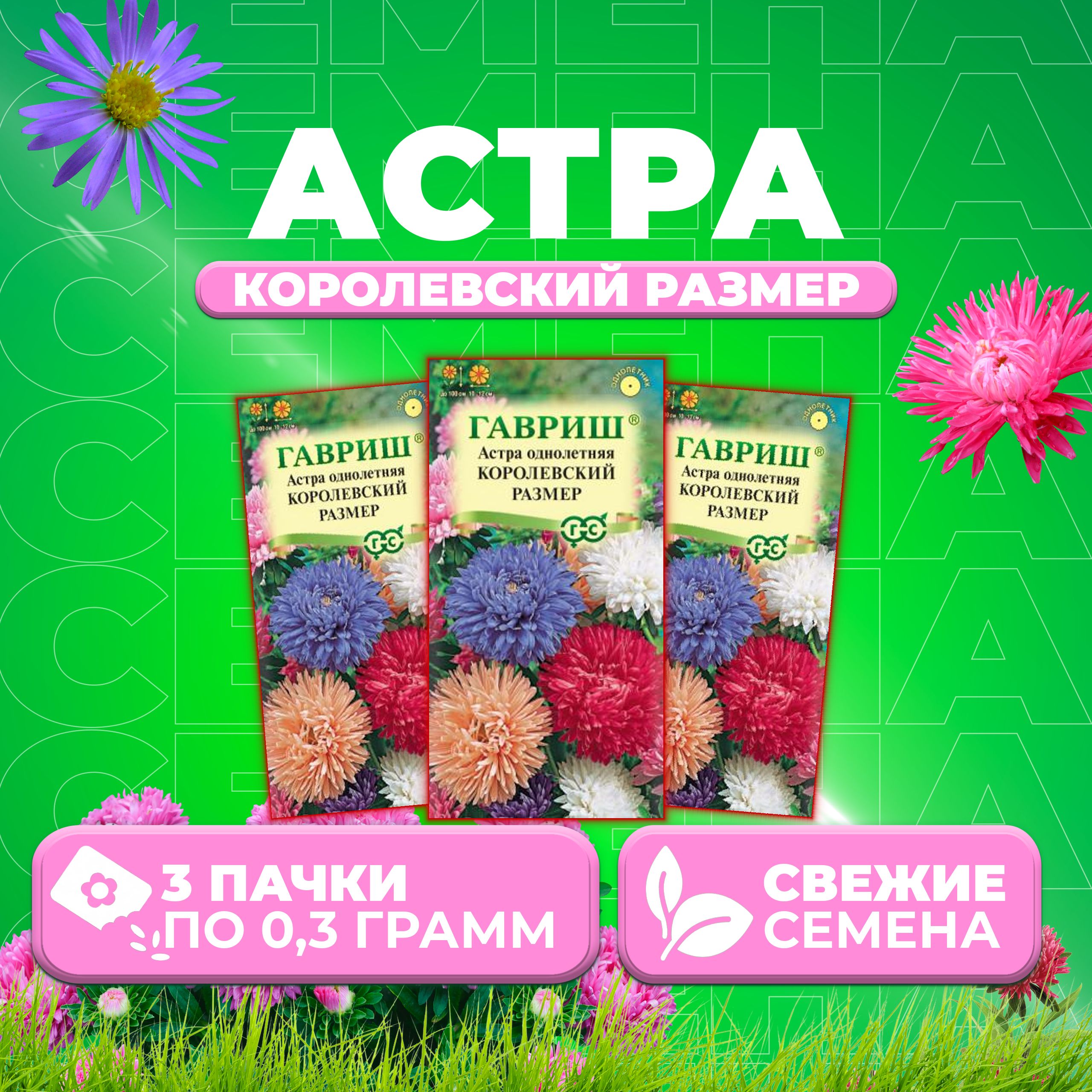

Семена Астра Королевский размер, смесь, 0,3г, Гавриш, Цветочная коллекция (3 уп)