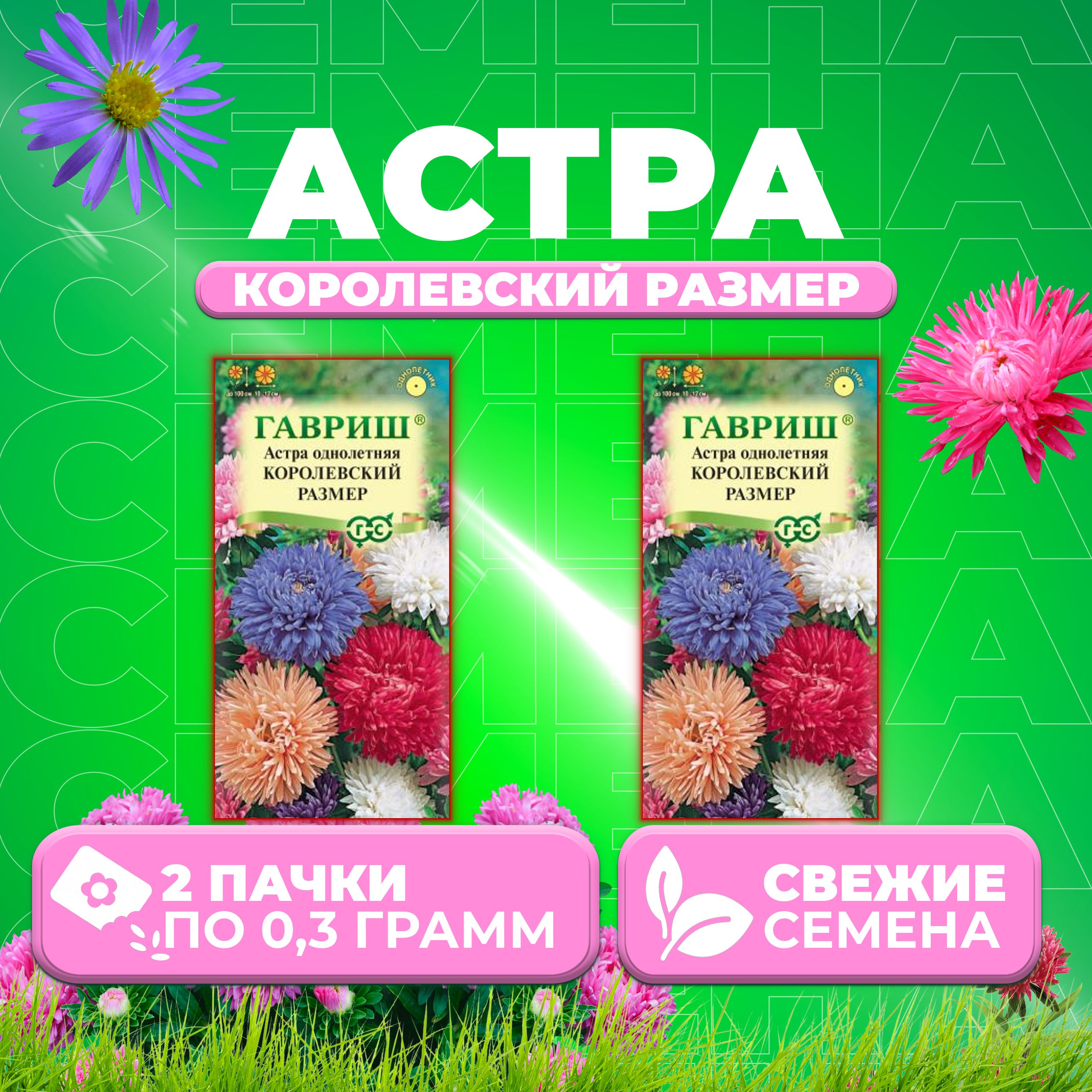 

Семена Астра Королевский размер, смесь, 0,3г, Гавриш, Цветочная коллекция (2 уп)