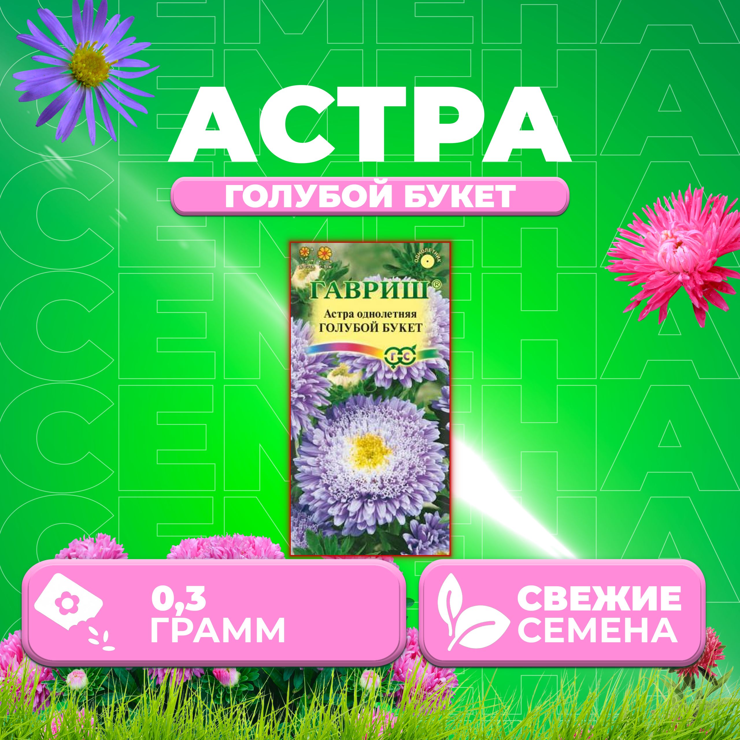 

Семена Астра Букет голубой, 0,3г, Гавриш, Цветочная коллекция (1 уп)