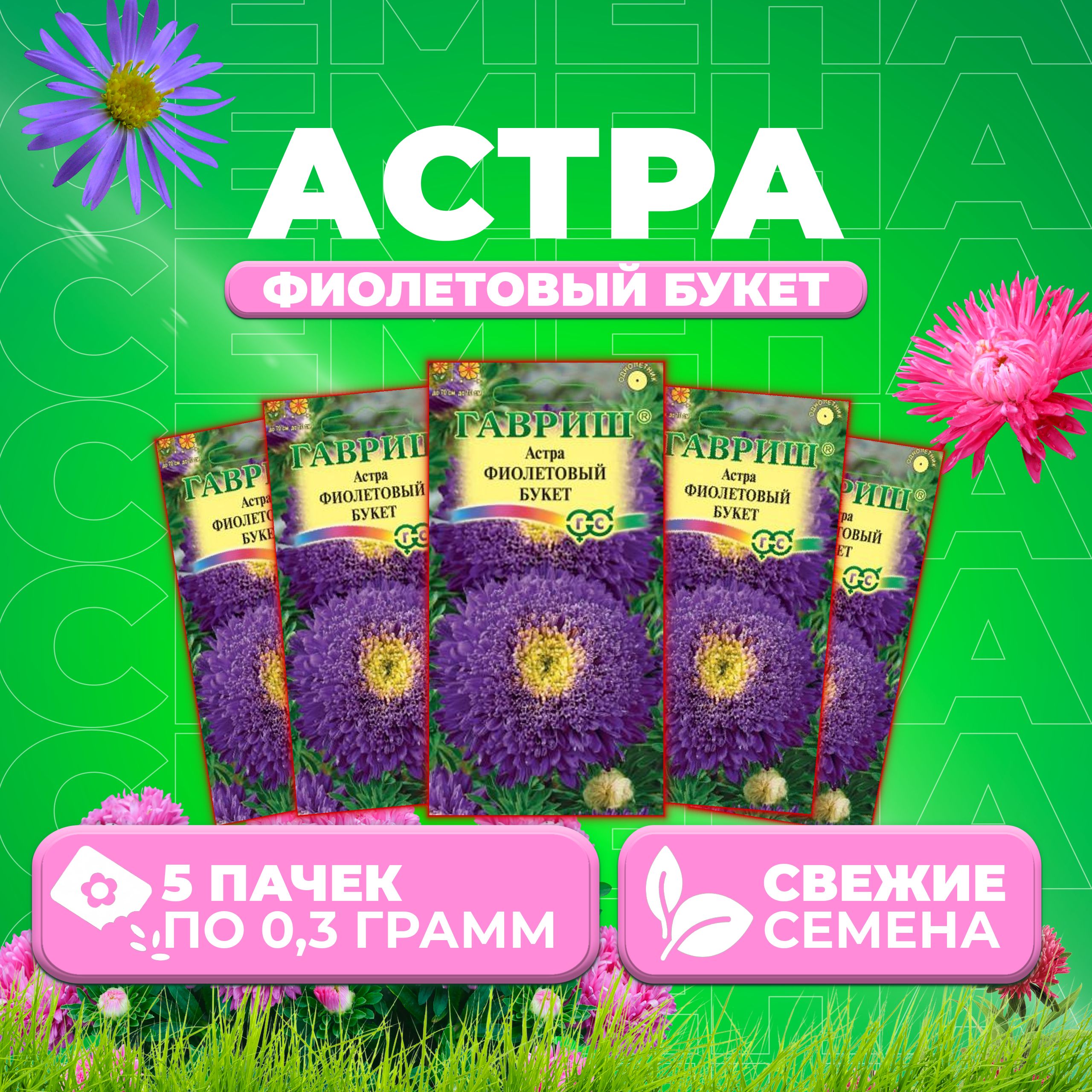 

Семена Астра Букет фиолетовый, 0,3г, Гавриш, Цветочная коллекция (5 уп)