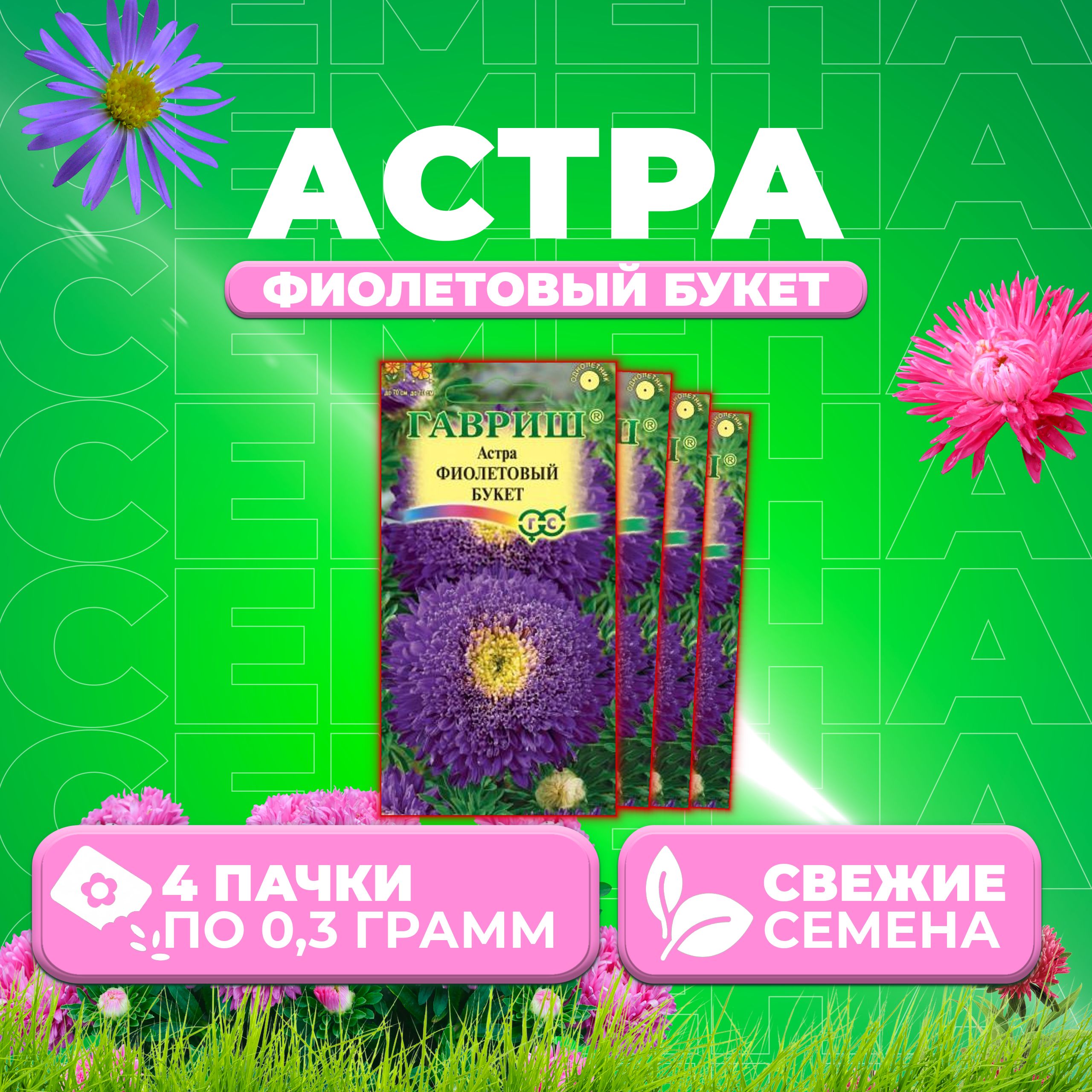 

Семена Астра Букет фиолетовый, 0,3г, Гавриш, Цветочная коллекция (4 уп)