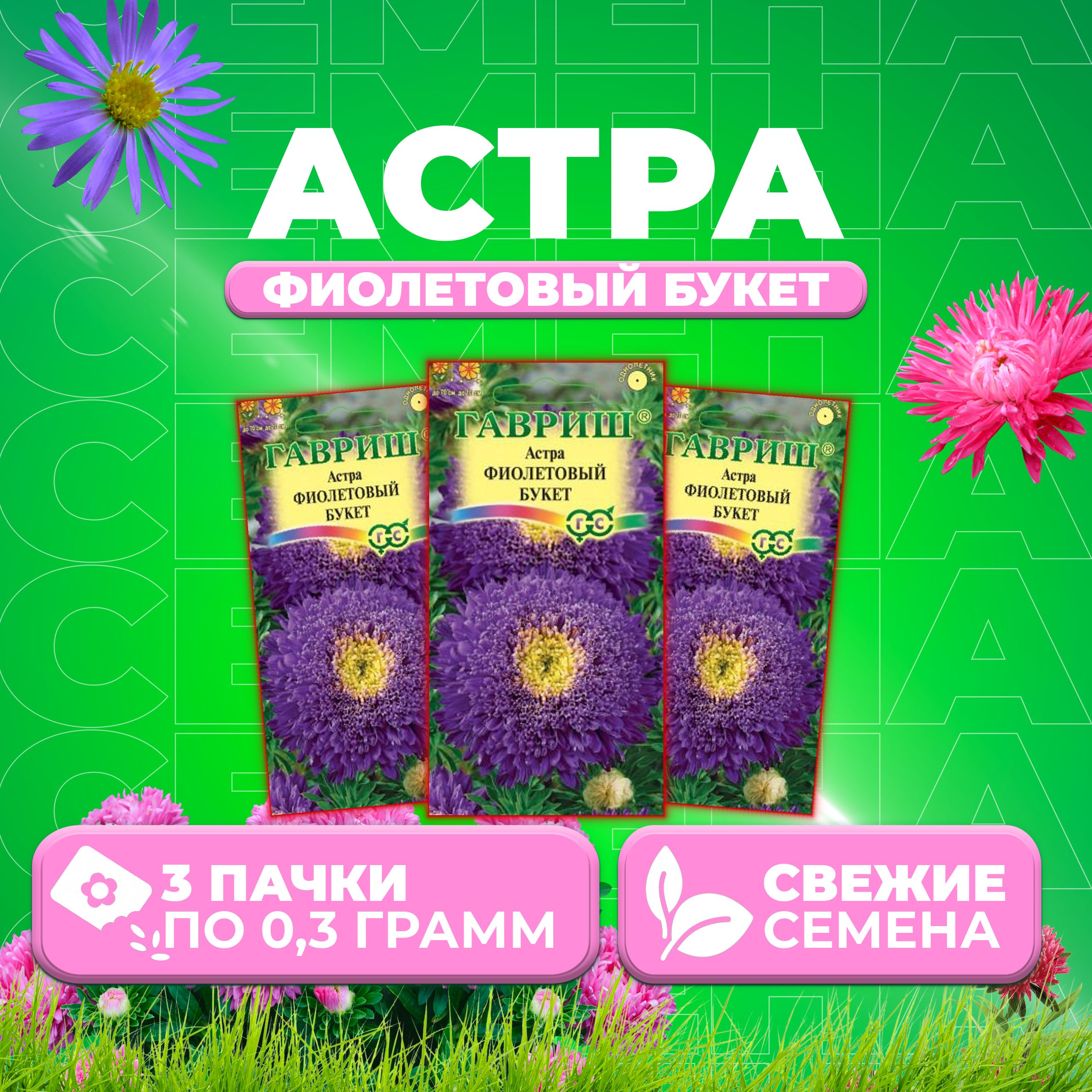 

Семена Астра Букет фиолетовый, 0,3г, Гавриш, Цветочная коллекция (3 уп)