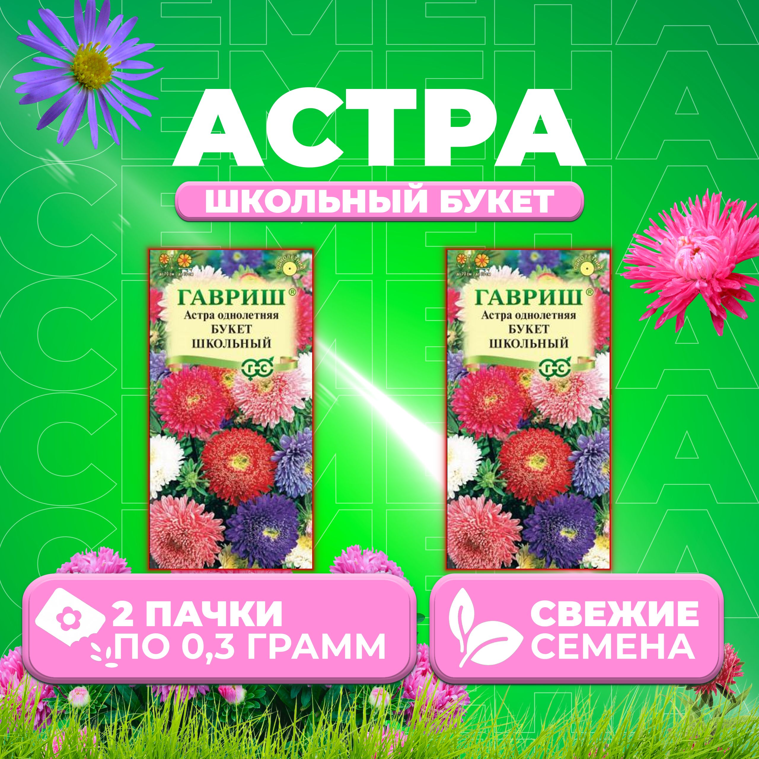 

Семена Астра Букет школьный, смесь, 0,3г, Гавриш, Цветочная коллекция (2 уп)