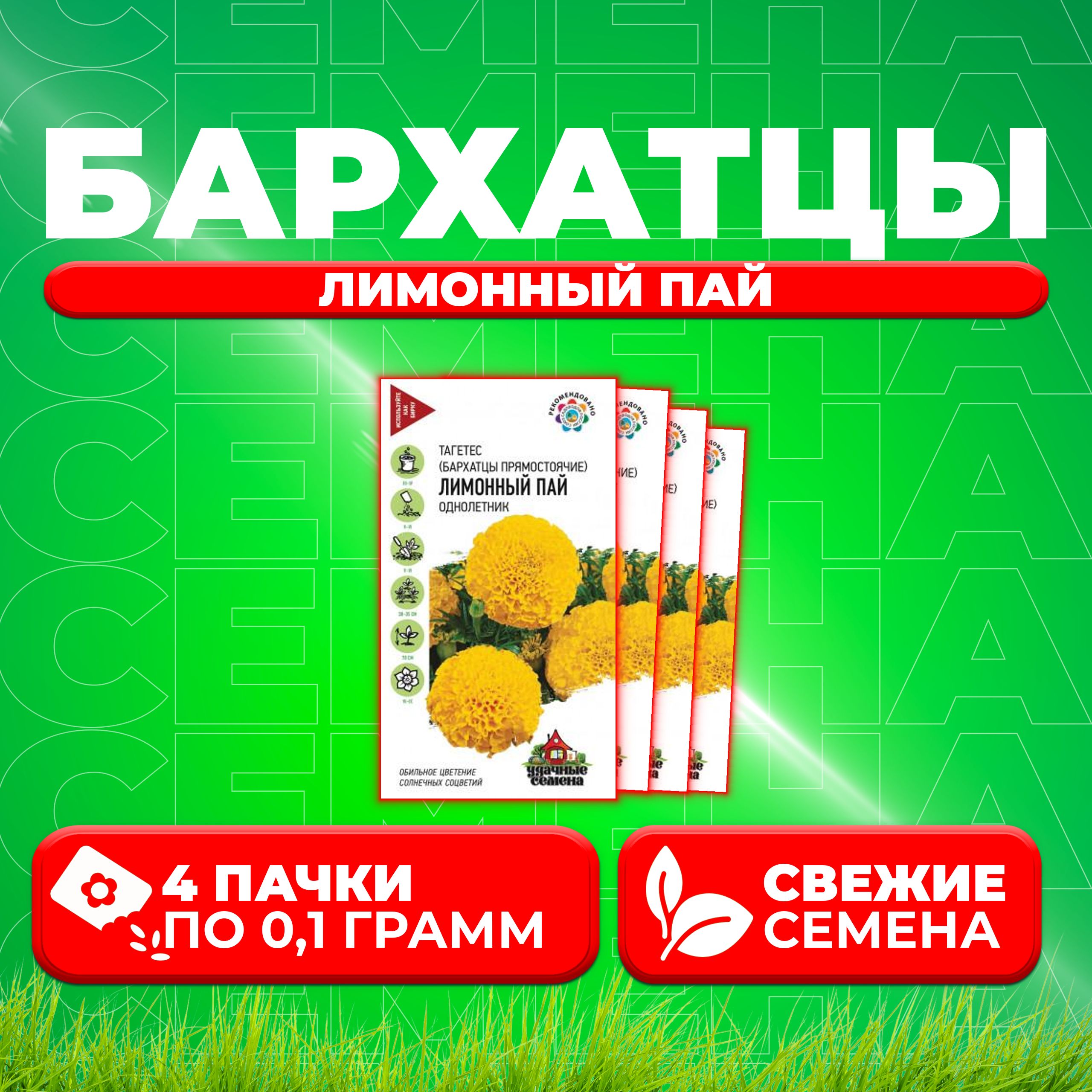 

Семена Бархатцы прямостоячие (тагетес) Лимонный пай, 0,1г, Удачные семена (4 уп)