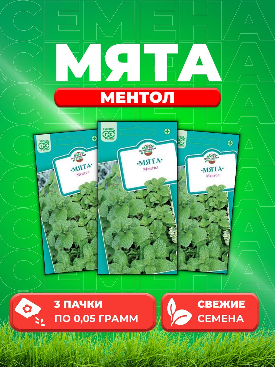 Семена Мяты Купить Недорого