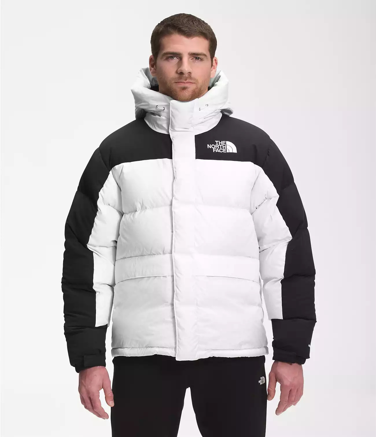 фото Куртка мужская the north face ta4qyxfn4 белая xl