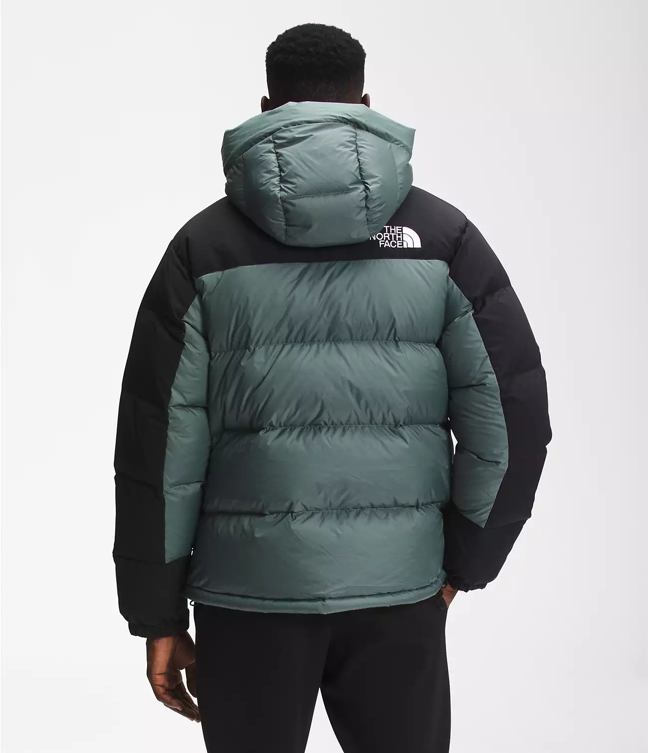 фото Куртка мужская the north face ta4qyxhbs синяя xl