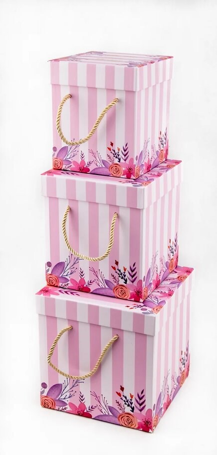 

Коробкаs/3 ДомРан 9867