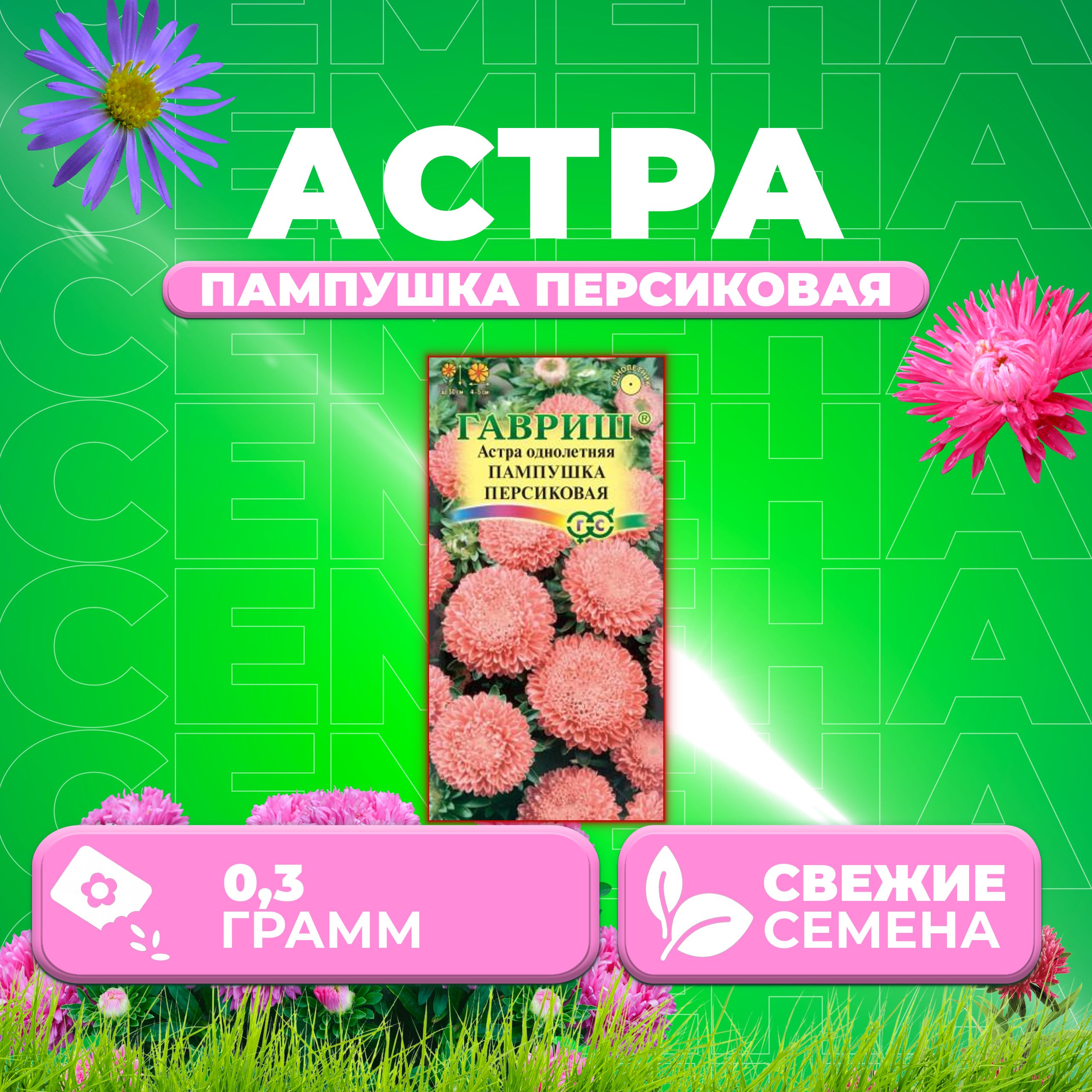 

Семена Астра Пампушка персиковая, помпонная, 0,3г, Гавриш, Цветочная коллекция (1 уп)