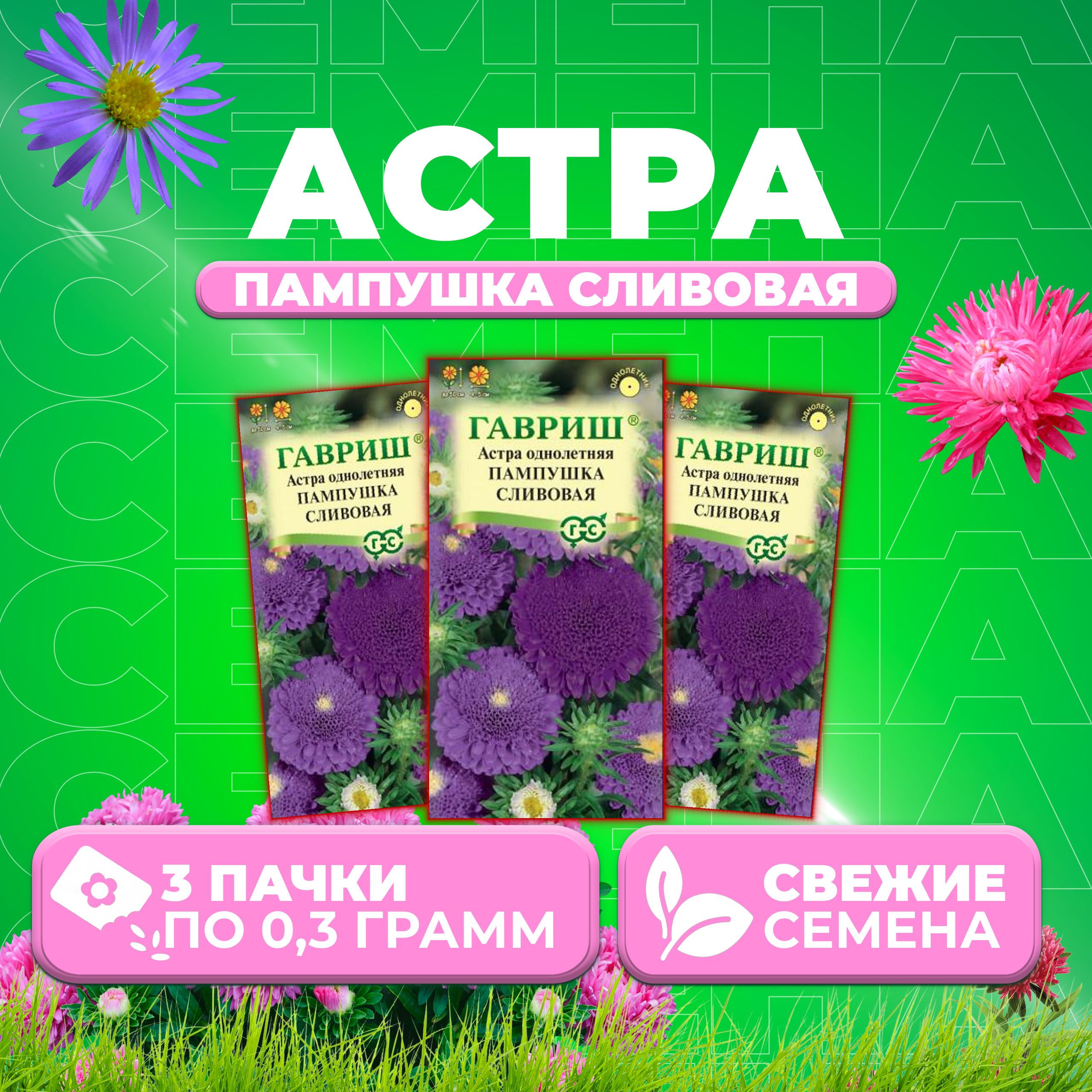 

Семена Астра Пампушка сливовая, помпонная, 0,3г, Гавриш, Цветочная коллекция (3 уп)