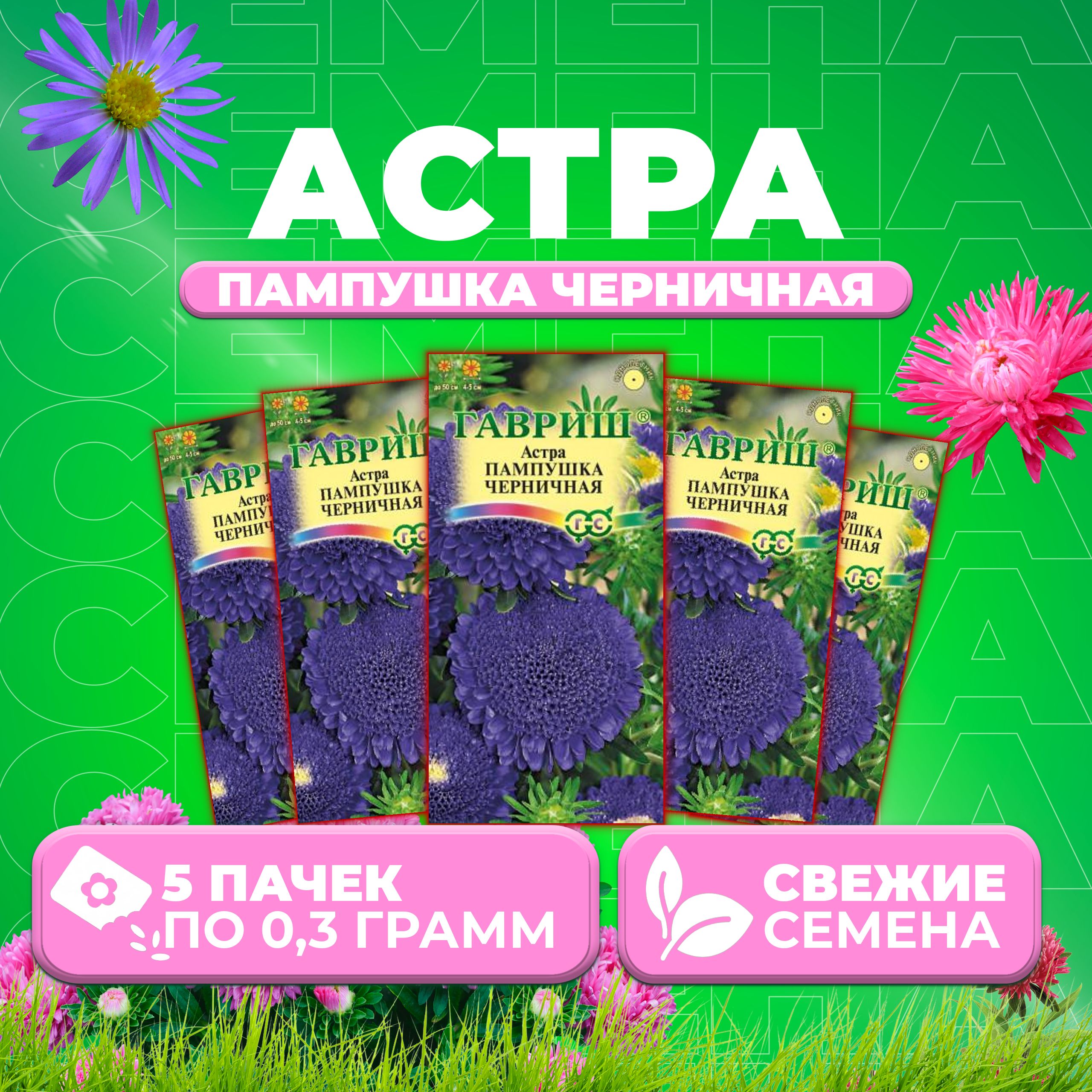 

Семена Астра Пампушка черничная, помпонная, 0,3г, Гавриш, Цветочная коллекция (5 уп)