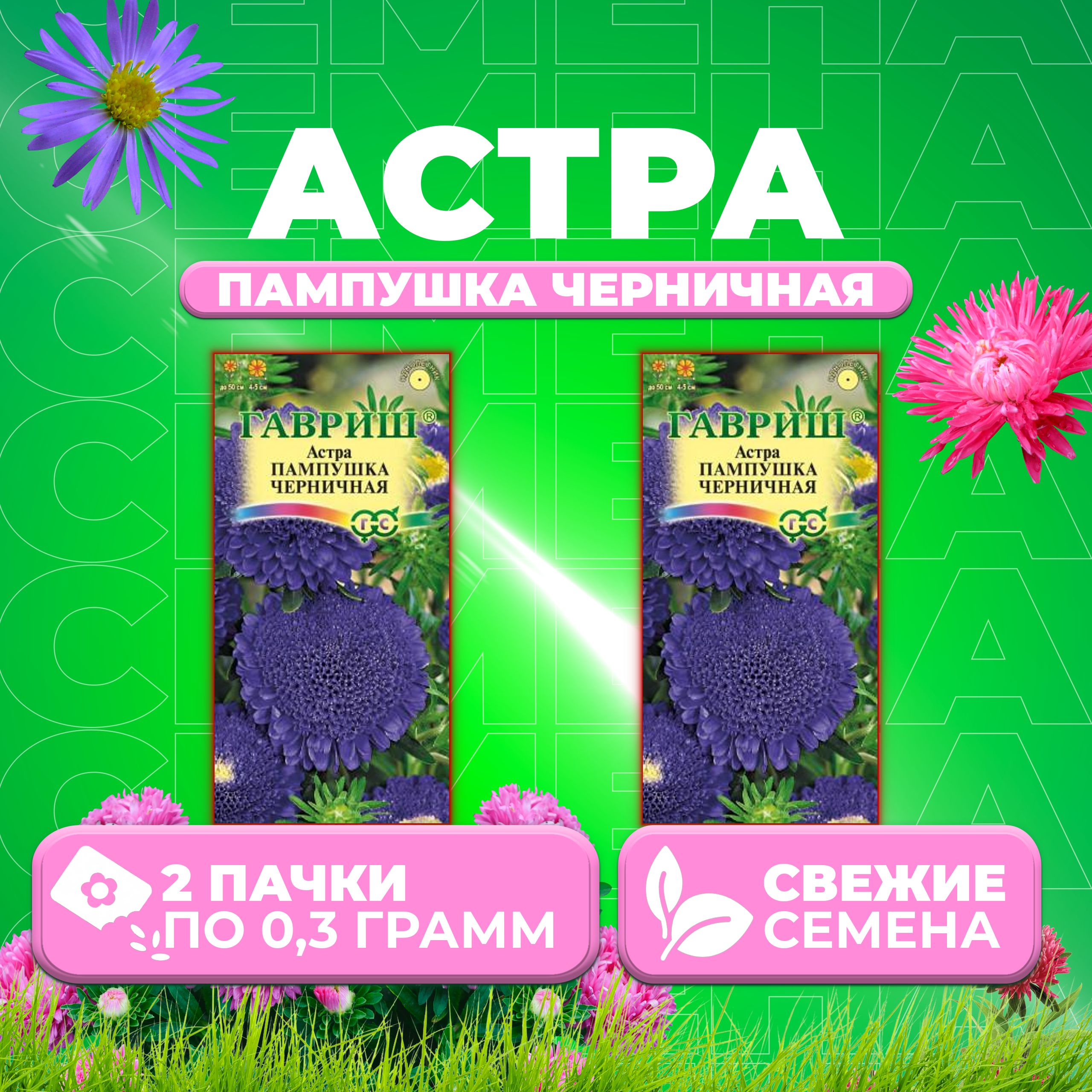 

Семена Астра Пампушка черничная, помпонная, 0,3г, Гавриш, Цветочная коллекция (2 уп)