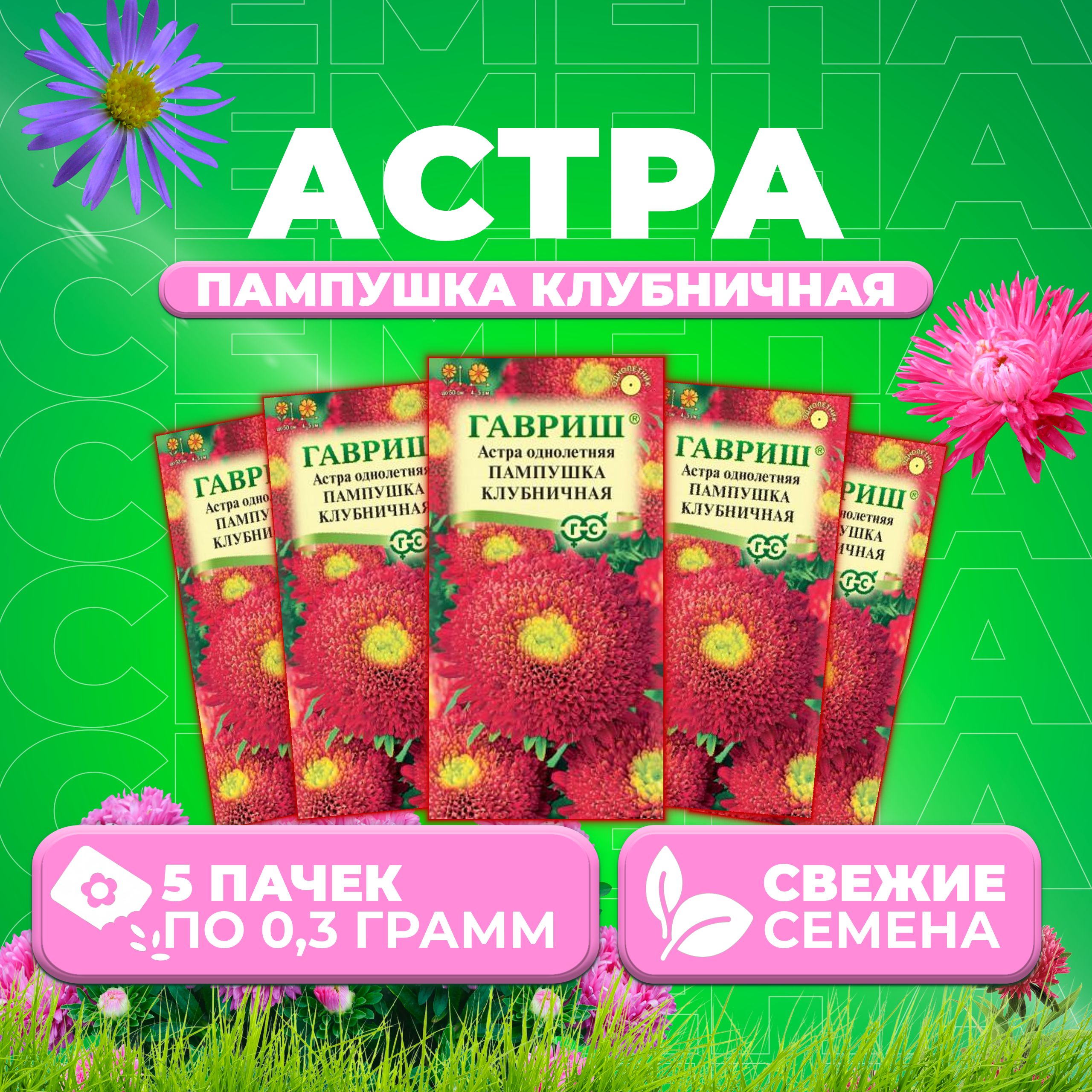 

Семена Астра Пампушка клубничная, помпонная, 0,3г, Гавриш, Цветочная коллекция (5 уп)