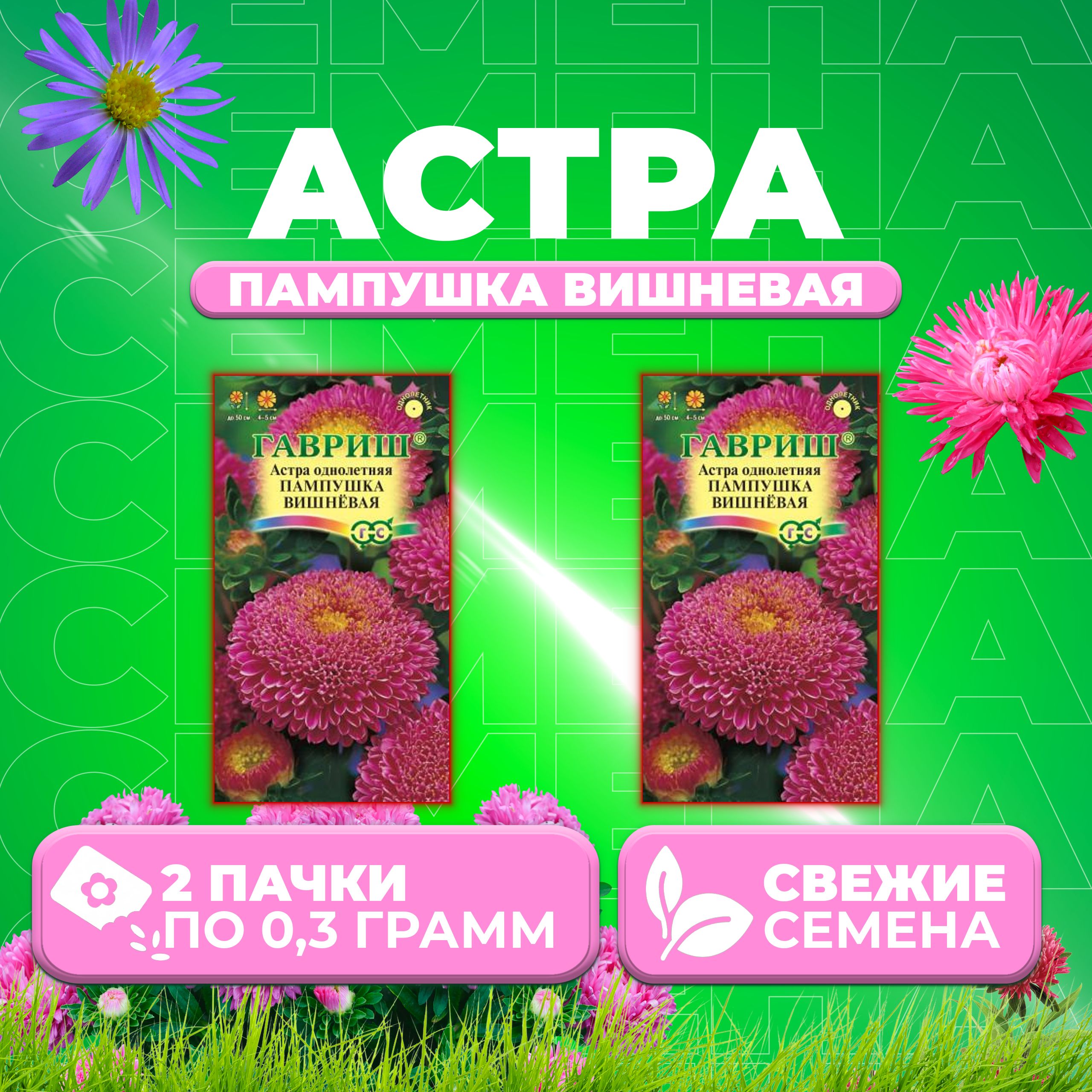 

Семена Астра Пампушка вишневая, помпонная, 0,3г, Гавриш, Цветочная коллекция (2 уп)