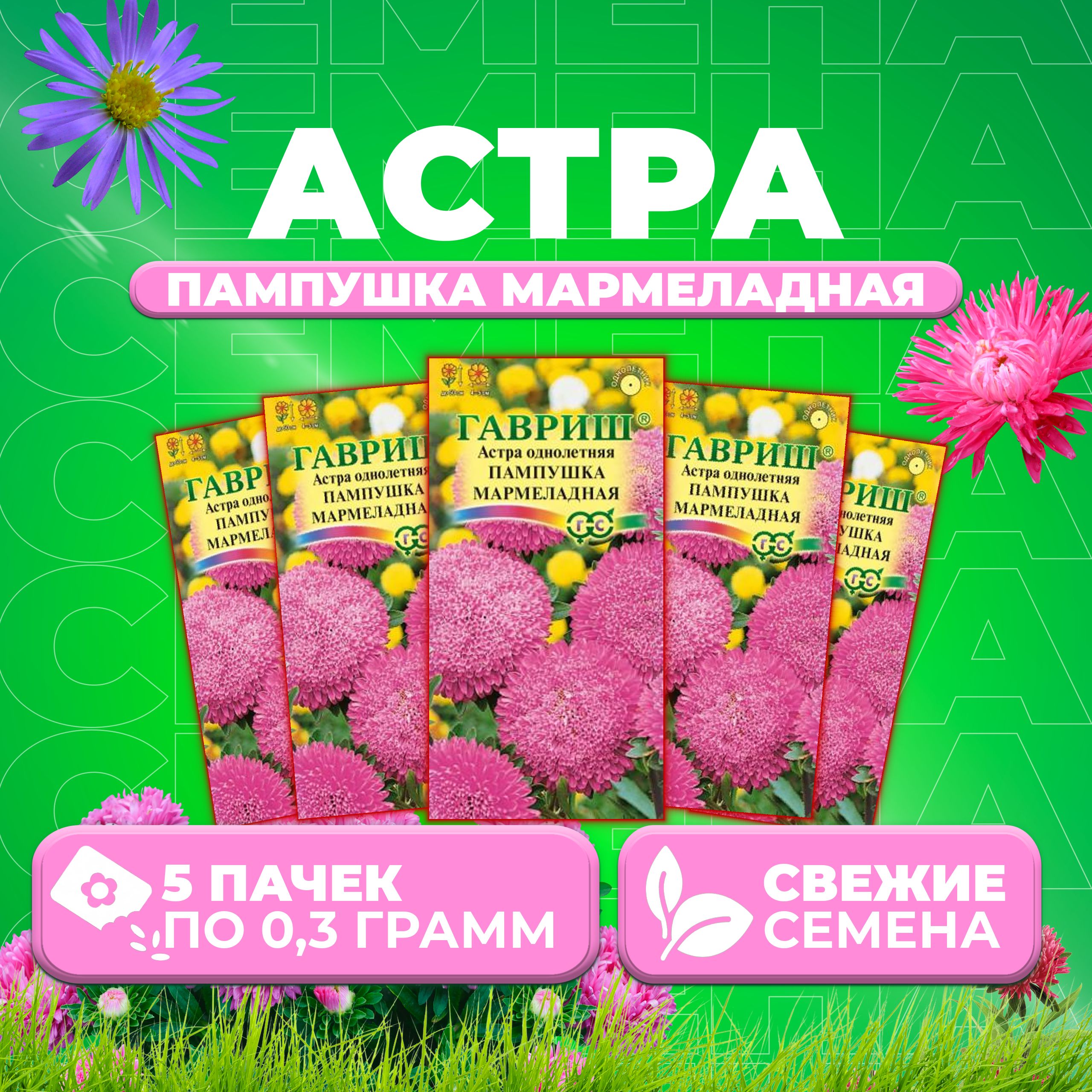 

Семена Астра Пампушка мармеладная, помпонная, 0,3г, Гавриш, Цветочная коллекция (5 уп)