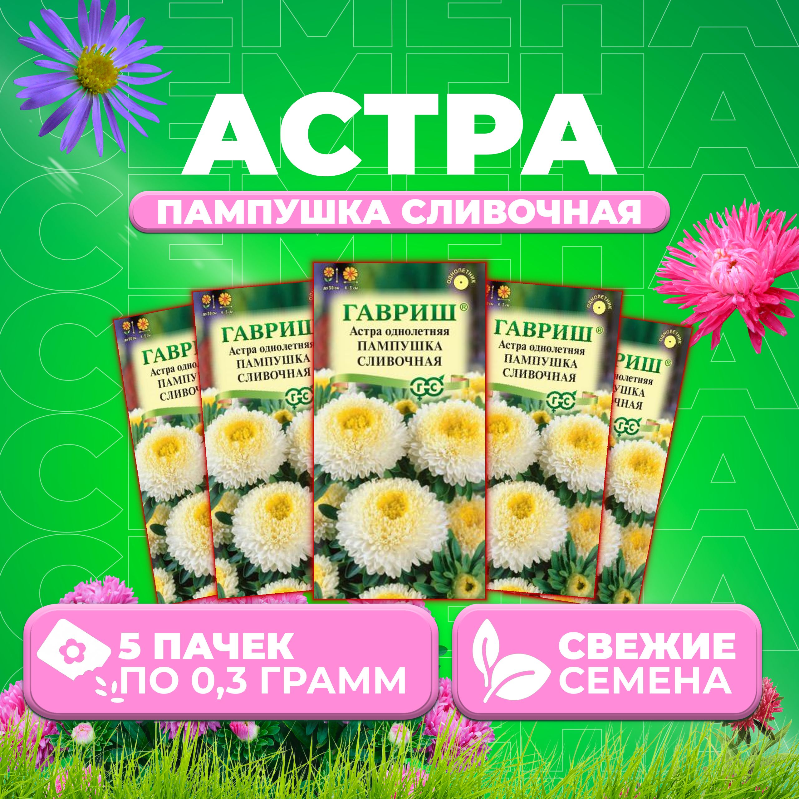 

Семена Астра Пампушка сливочная, помпонная, 0,3г, Гавриш, Цветочная коллекция (5 уп)