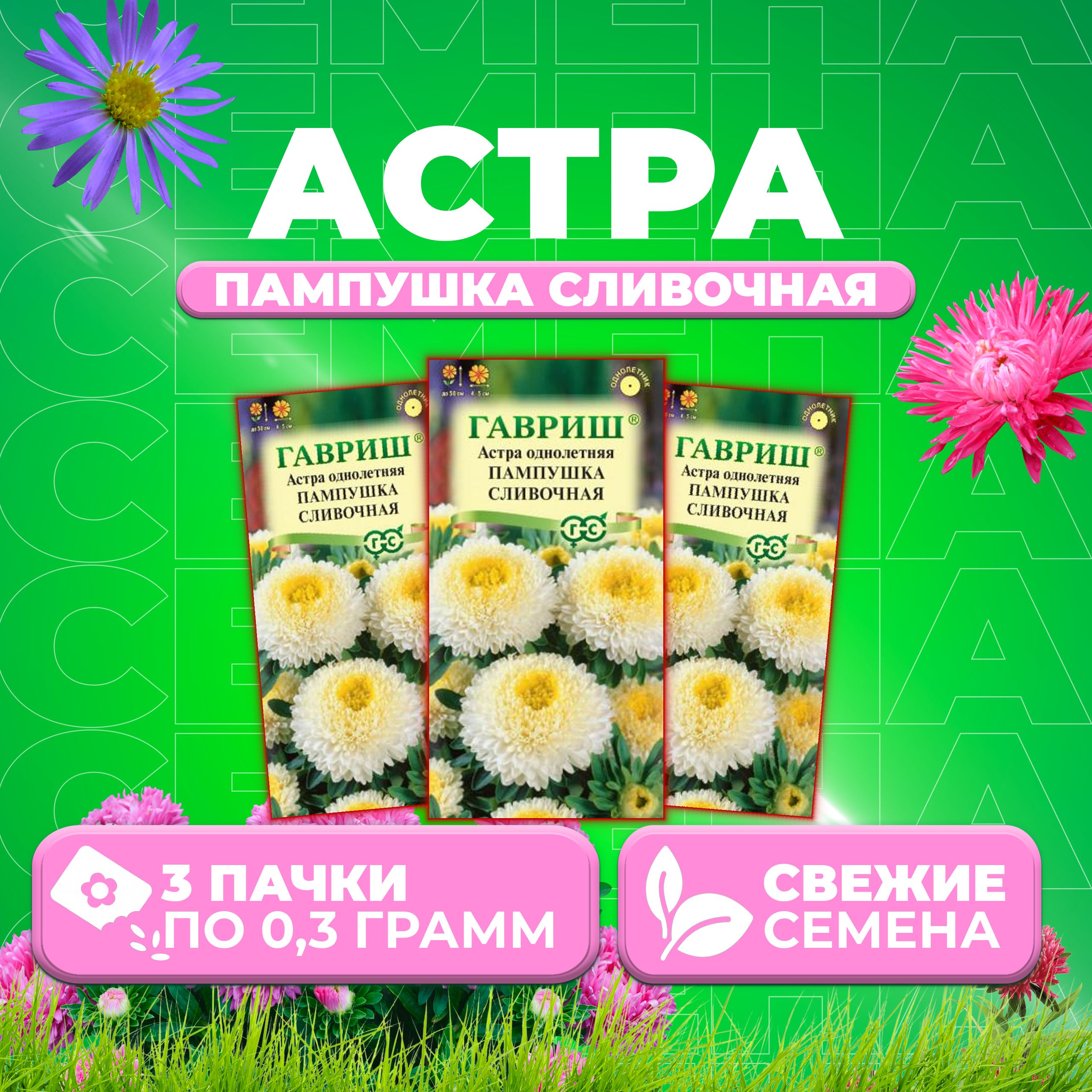 

Семена Астра Пампушка сливочная, помпонная, 0,3г, Гавриш, Цветочная коллекция (3 уп)