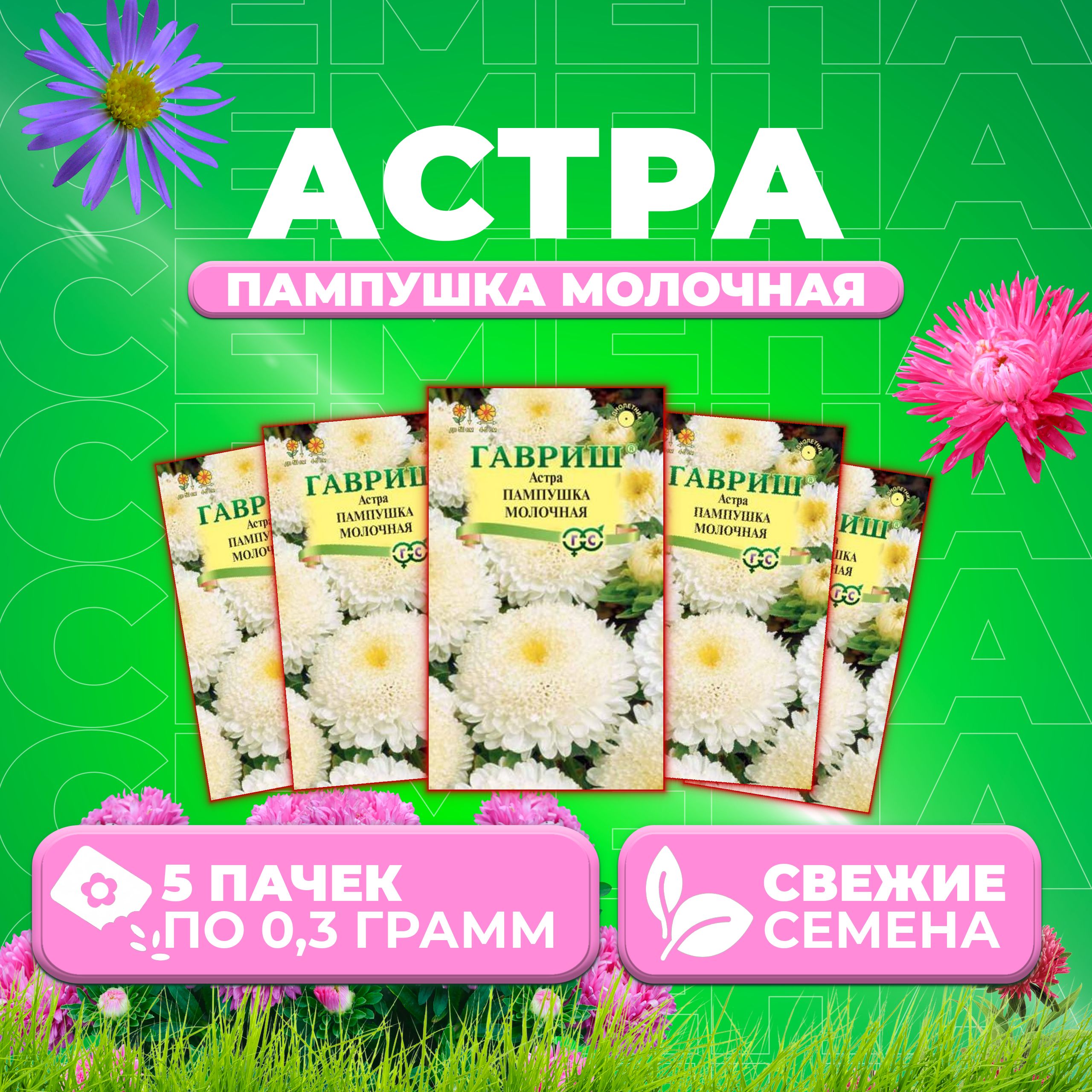 

Семена Астра Пампушка молочная, помпонная, 0,3г, Гавриш, Цветочная коллекция (5 уп)