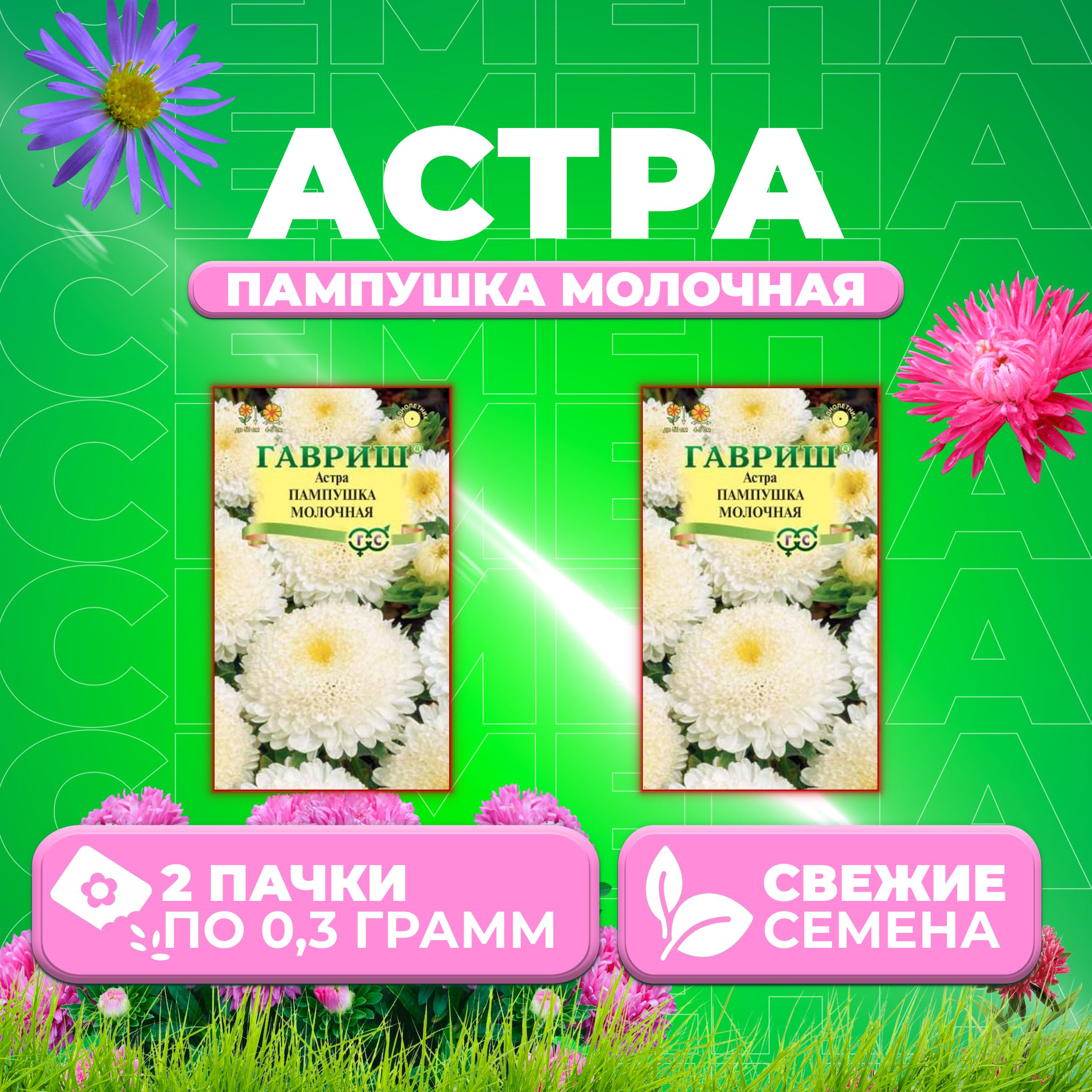 

Семена Астра Пампушка молочная, помпонная, 0,3г, Гавриш, Цветочная коллекция (2 уп)