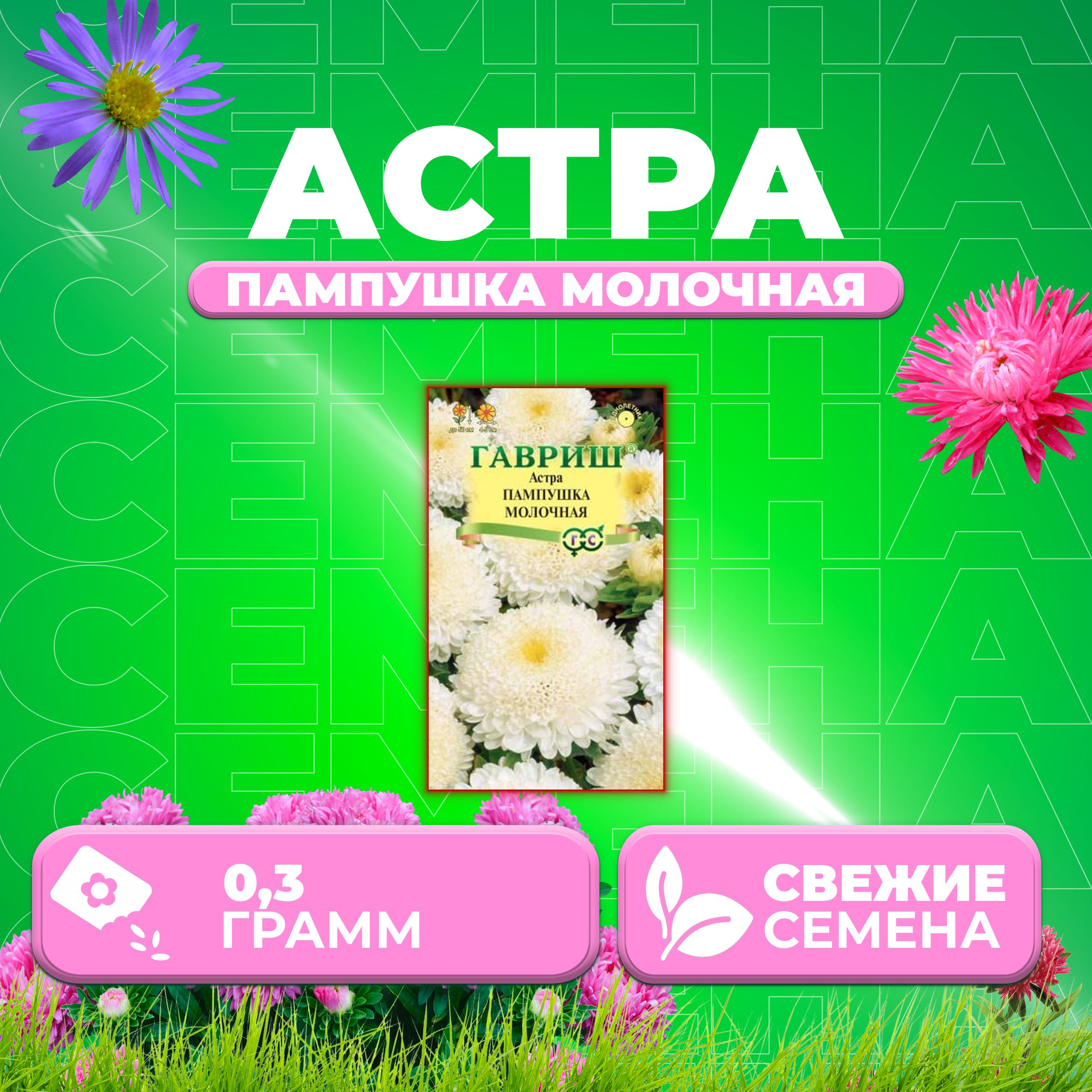 

Семена Астра Пампушка молочная, помпонная, 0,3г, Гавриш, Цветочная коллекция (1 уп)