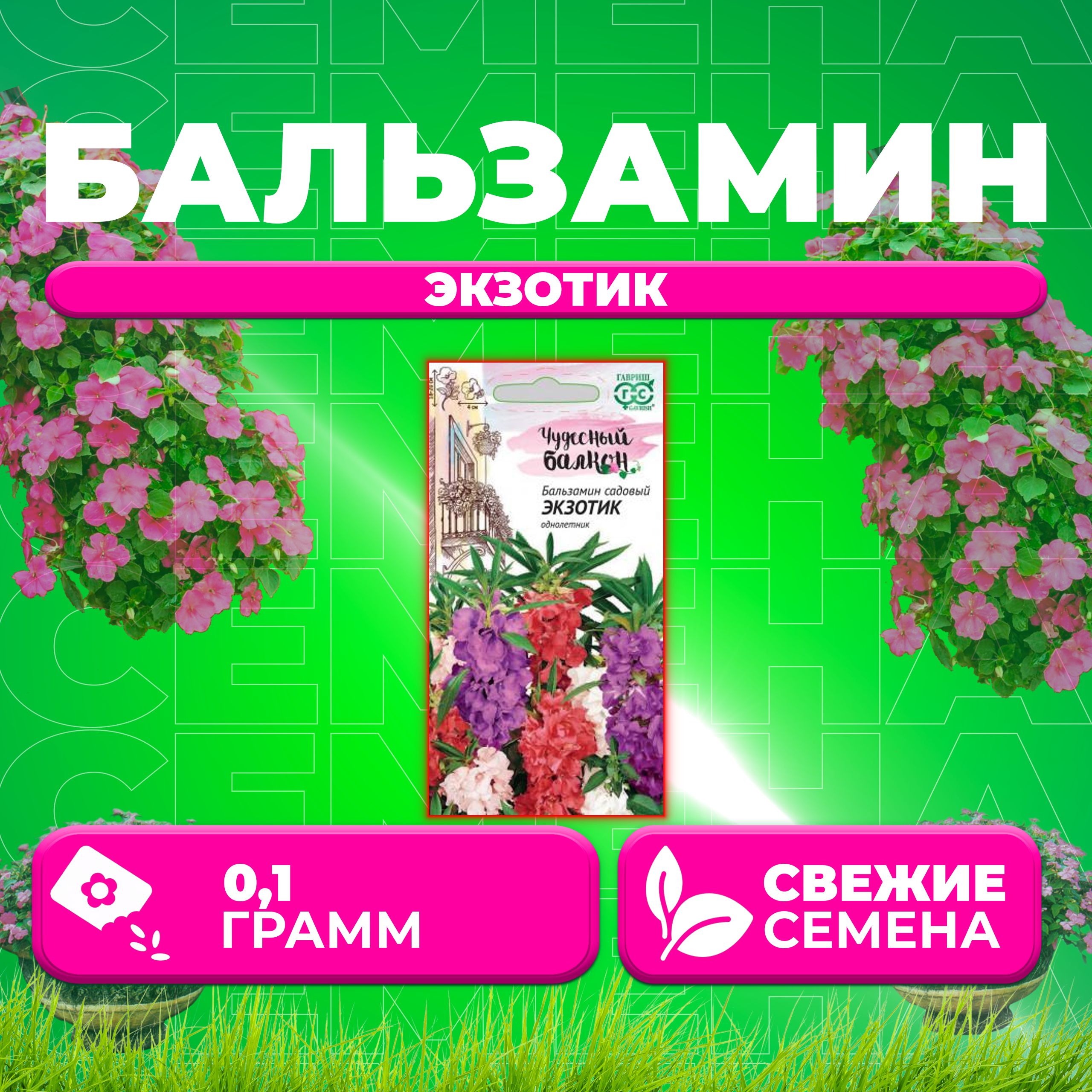 

Семена Бальзамин садовый Экзотик, смесь, 0,1г, Гавриш, Чудесный балкон (1 уп)