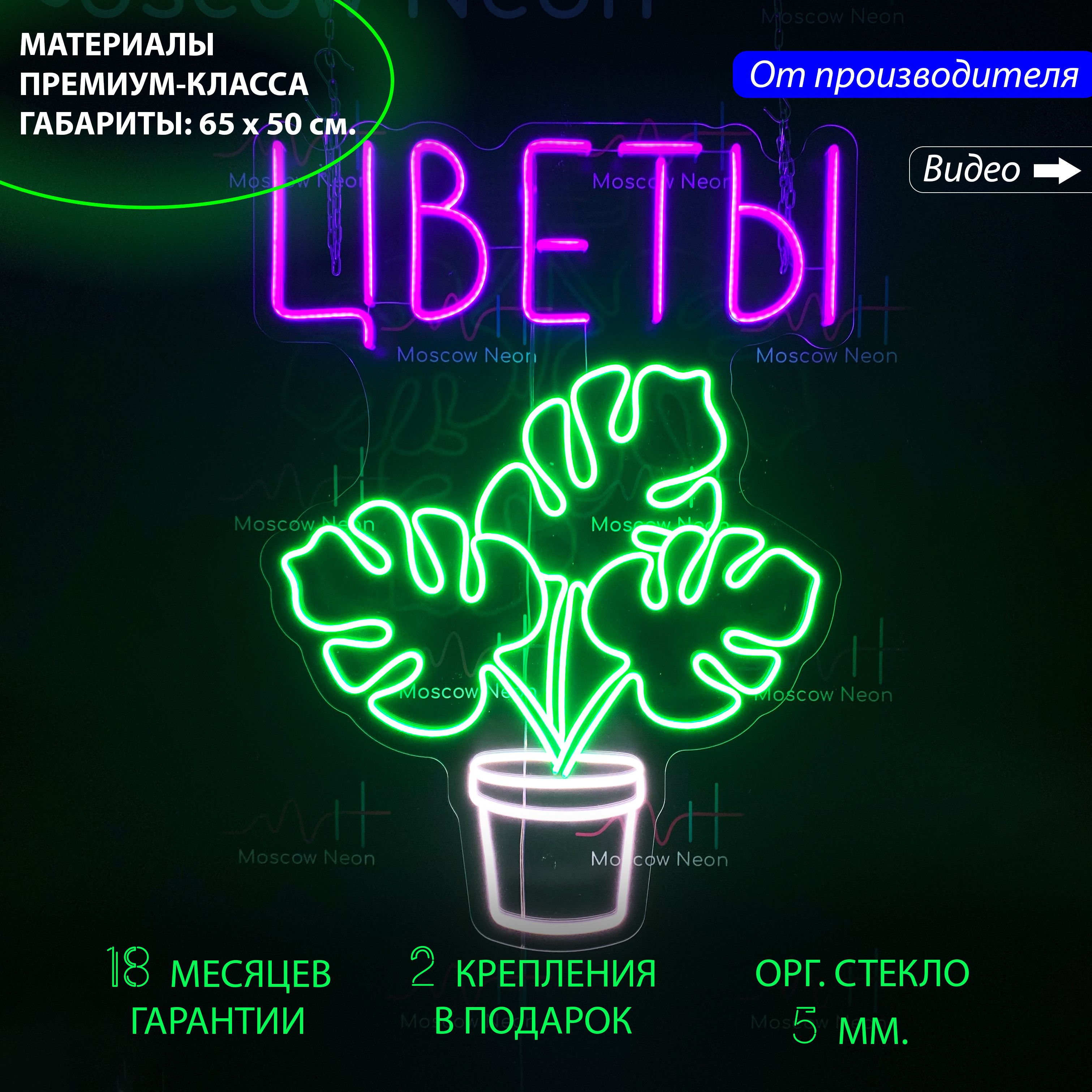 

Настенная неоновая лампа "Горшок с цветком" для цветочного магазина, 65 х 50 см., Горшок с цветком, 70 х 50 см.