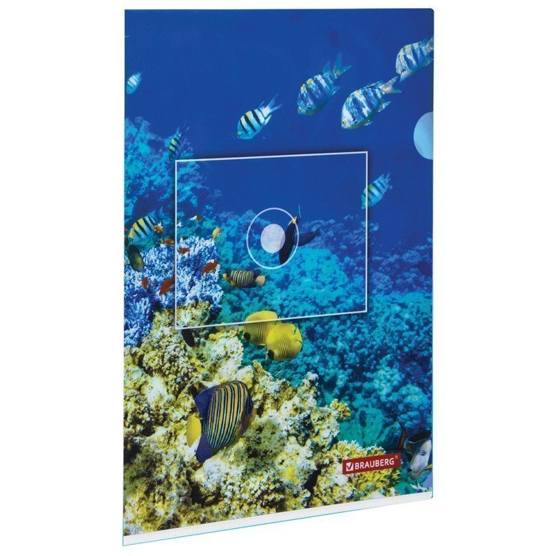 

Папка-уголок BRAUBERG "SEA WORLD", А4, 150 мкм, цветная печать, 228042, Разноцветный