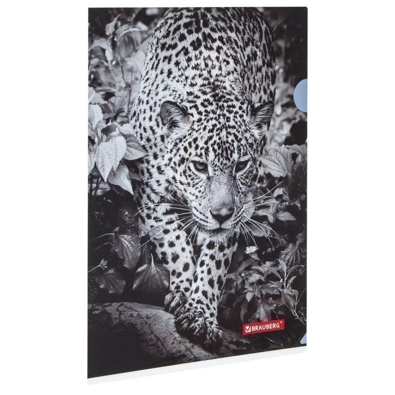 

Папка-уголок BRAUBERG "LEOPARD", А4, 150 мкм, цветная печать, 228040, Разноцветный