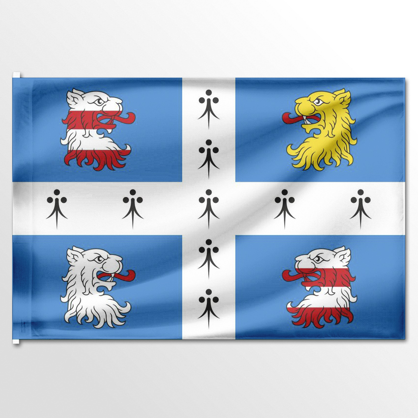

Флаг ЦТП ФЕНИКС Низинского сельского поселения 135x90 см, 6574-135x90