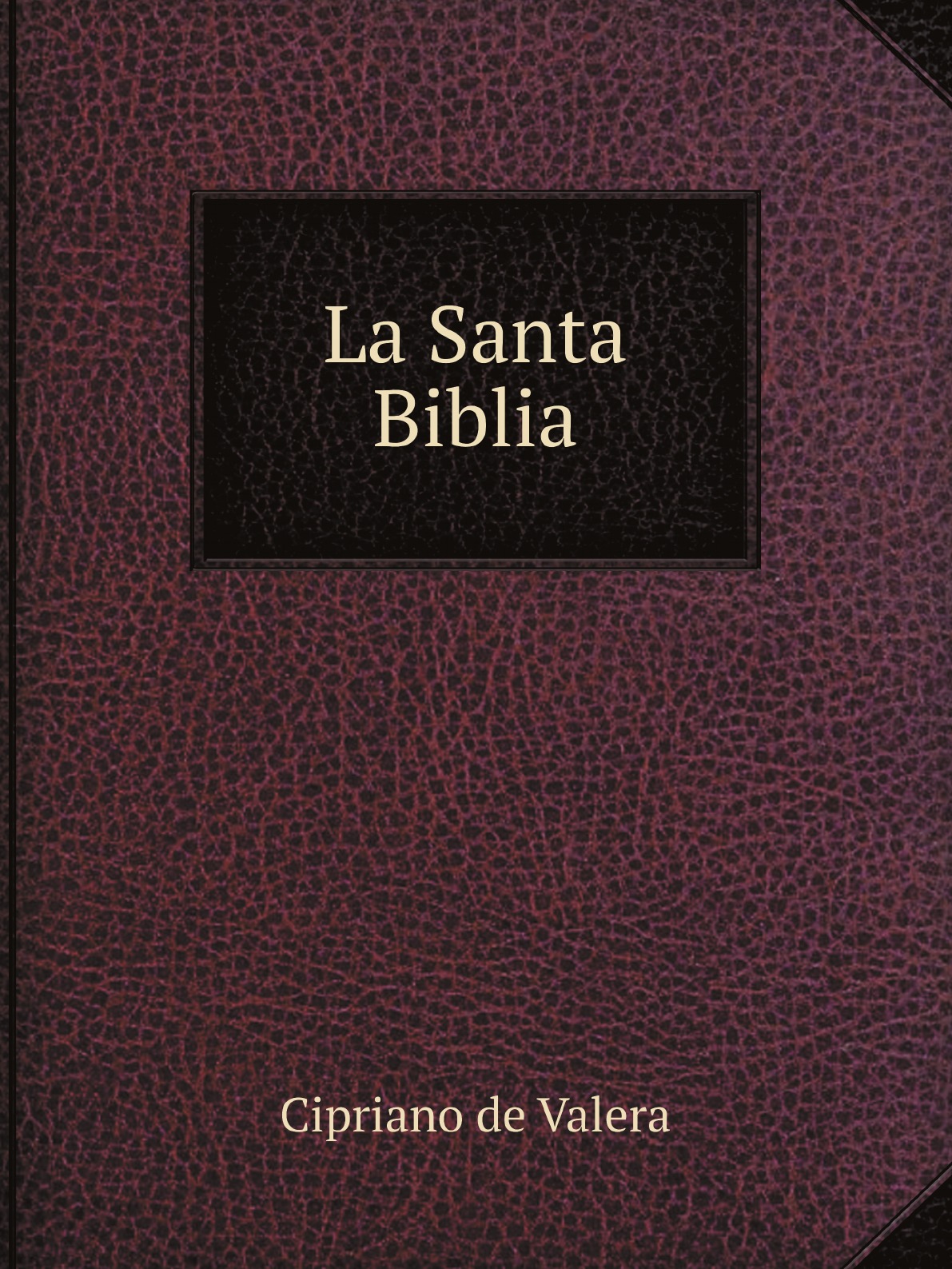 

La Santa Biblia