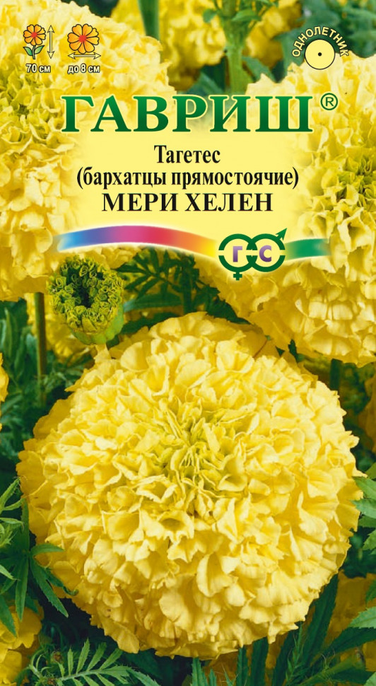 

Семена бархатцы Мери Хелен Гавриш 10006580-10 10 уп.